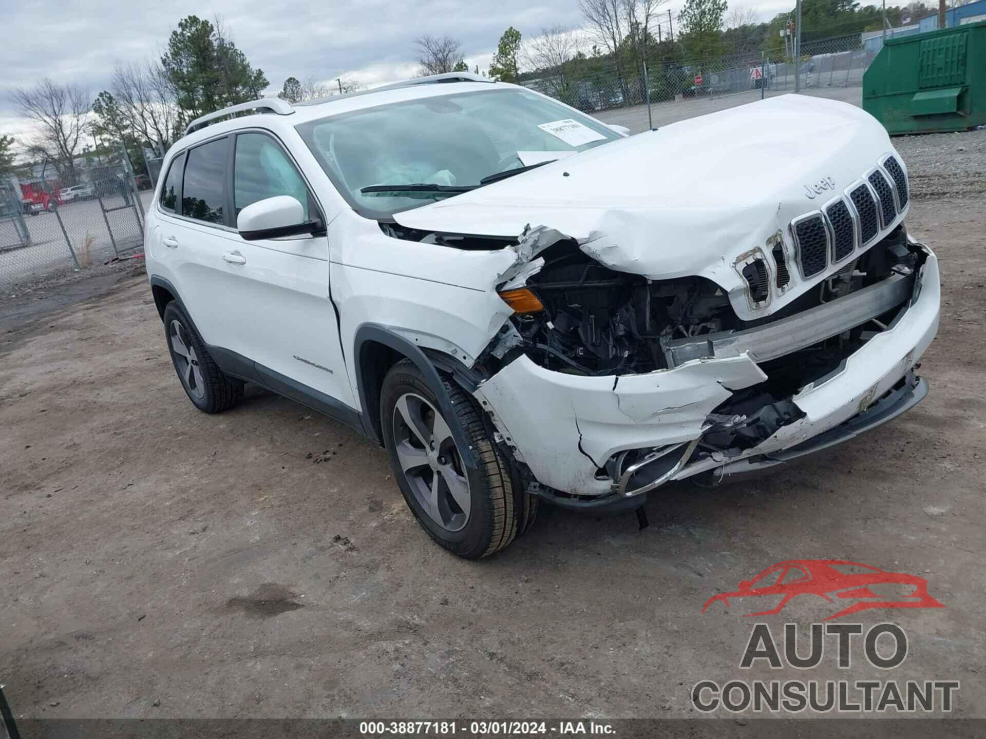 JEEP CHEROKEE 2019 - 1C4PJMDX5KD173342