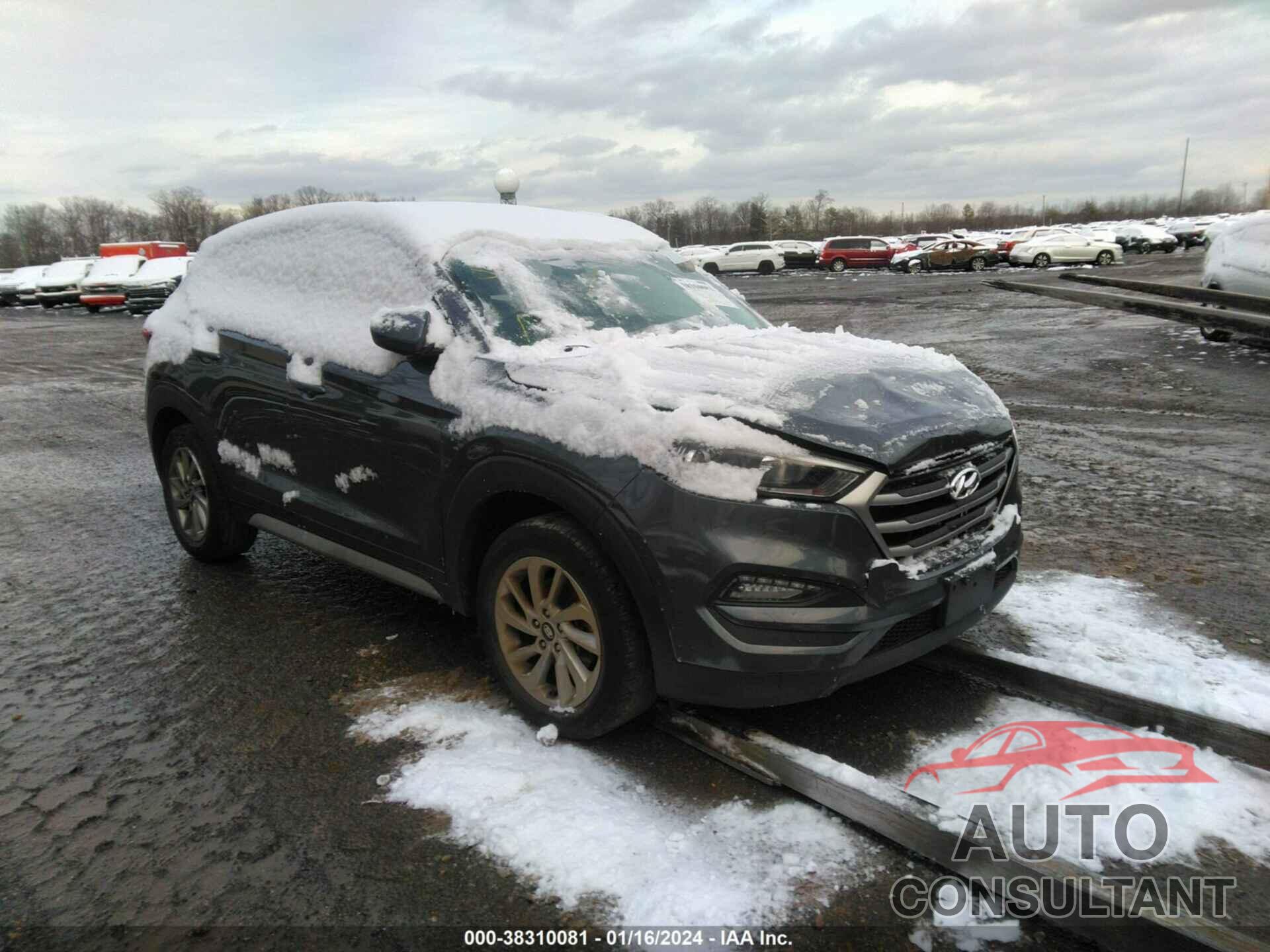 HYUNDAI TUCSON 2018 - KM8J33A48JU691279