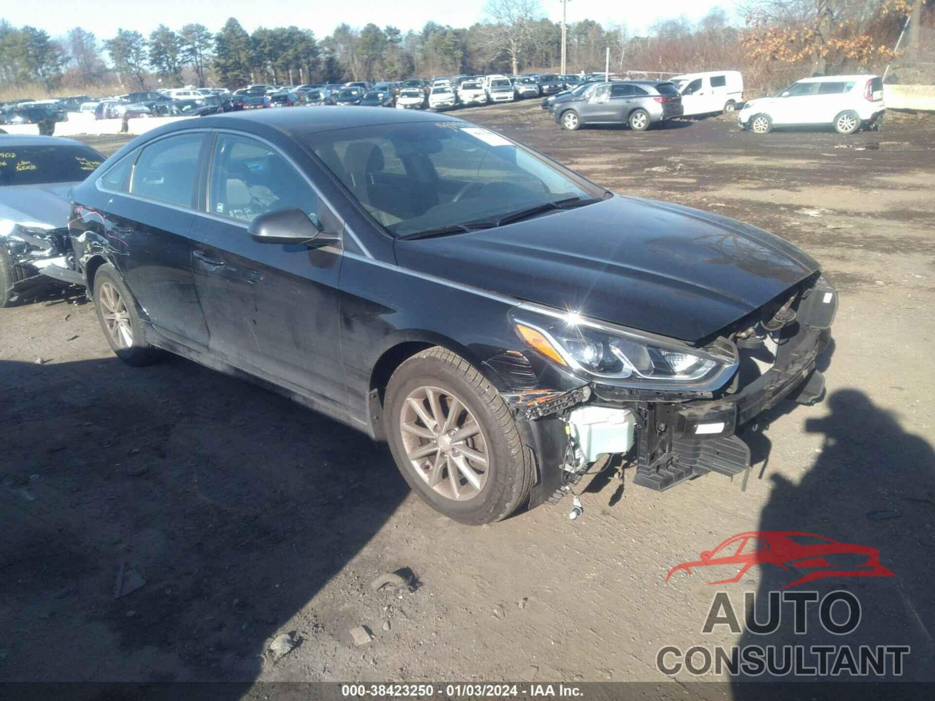HYUNDAI SONATA 2019 - 5NPE24AF6KH742502