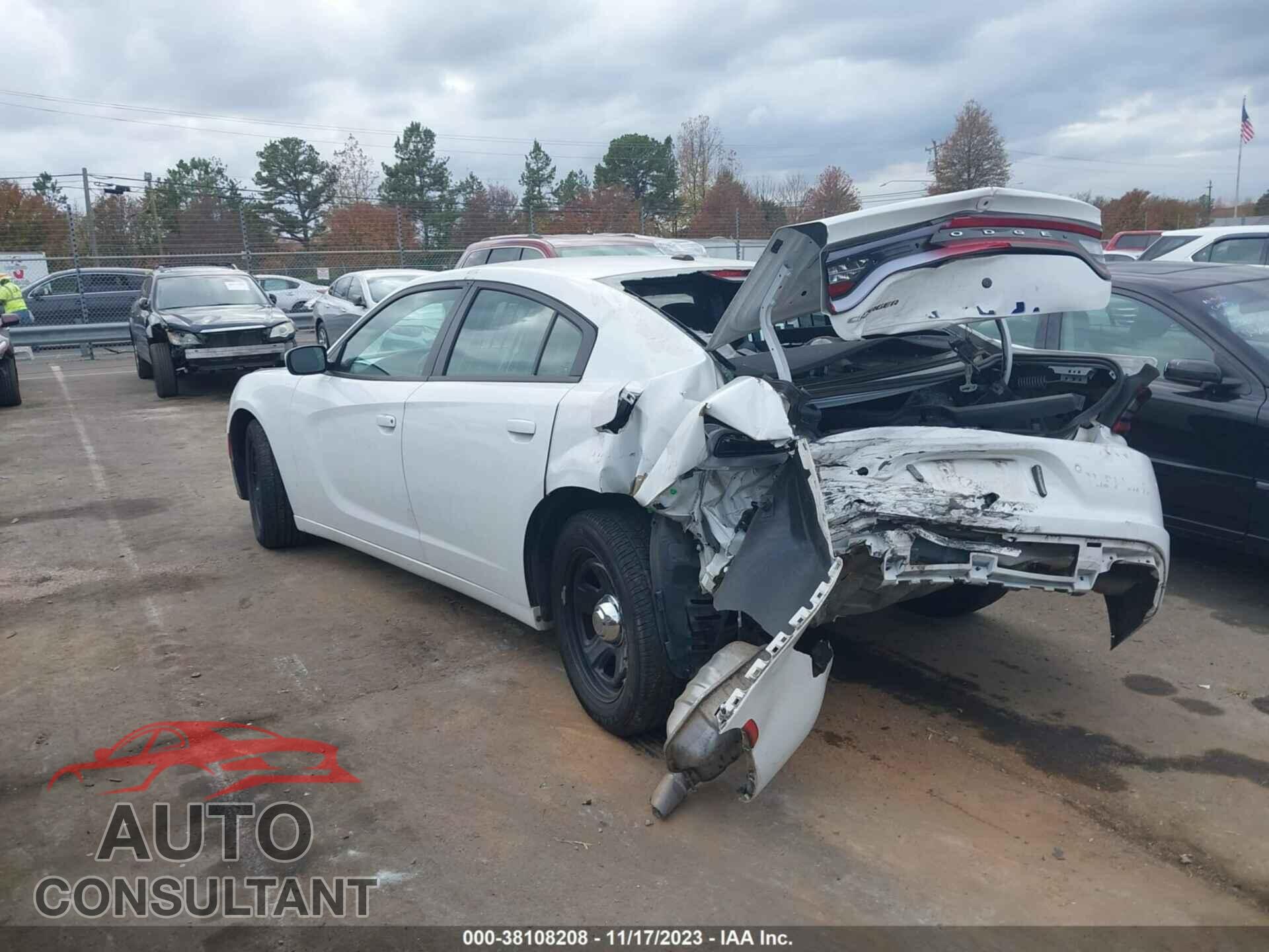 DODGE CHARGER 2019 - 2C3CDXAT2KH575982