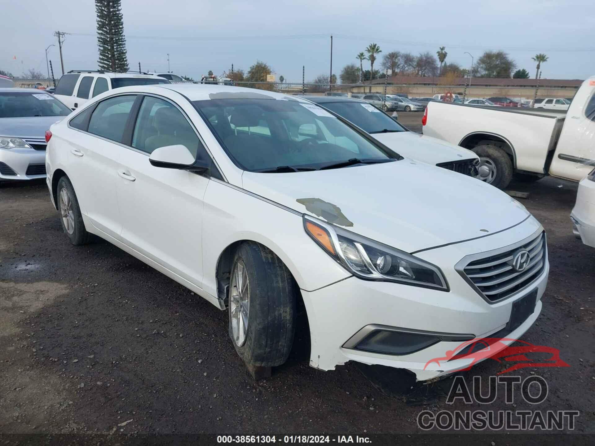 HYUNDAI SONATA 2017 - 5NPE24AFXHH491430