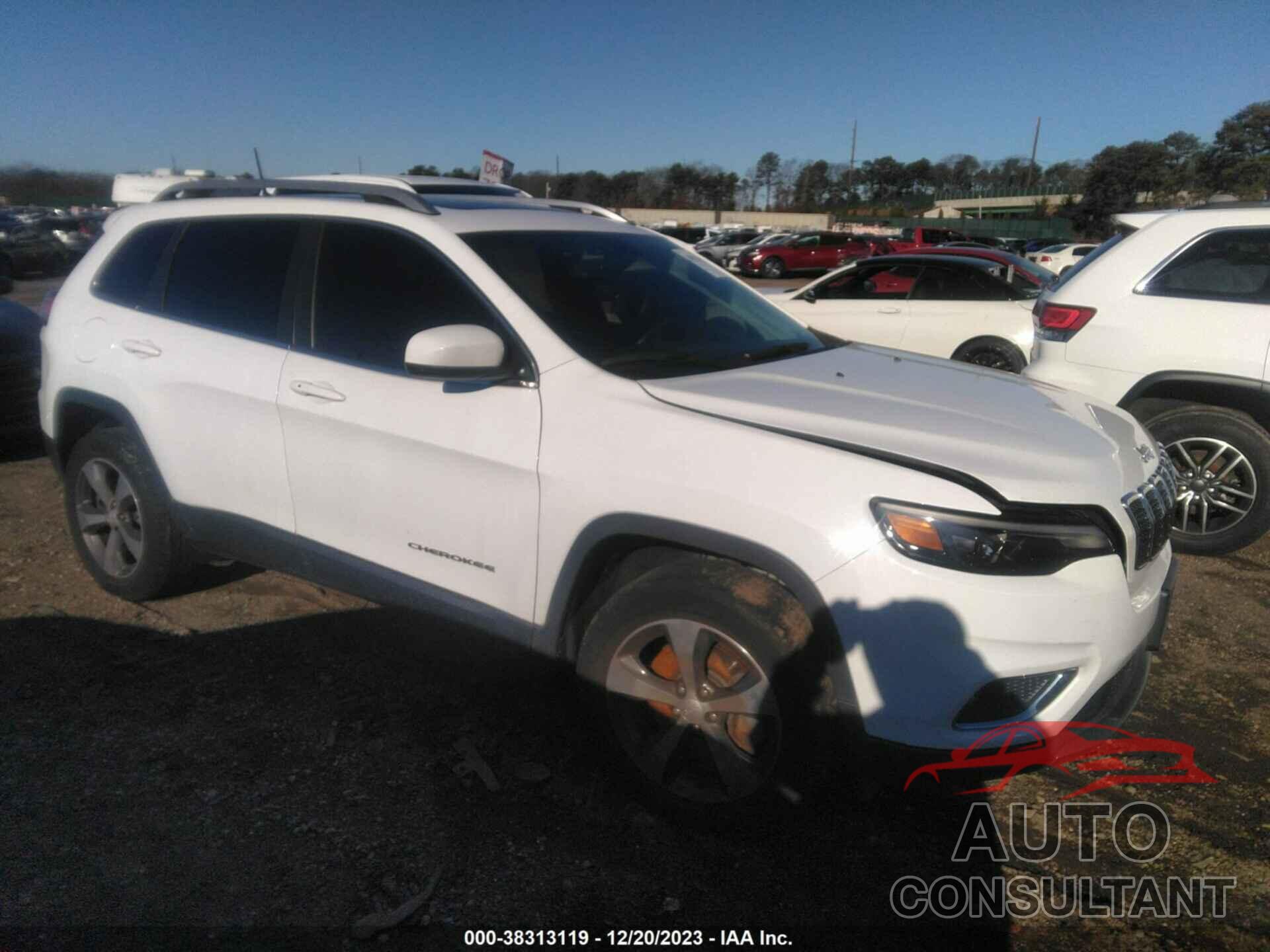 JEEP CHEROKEE 2019 - 1C4PJMDX9KD351639