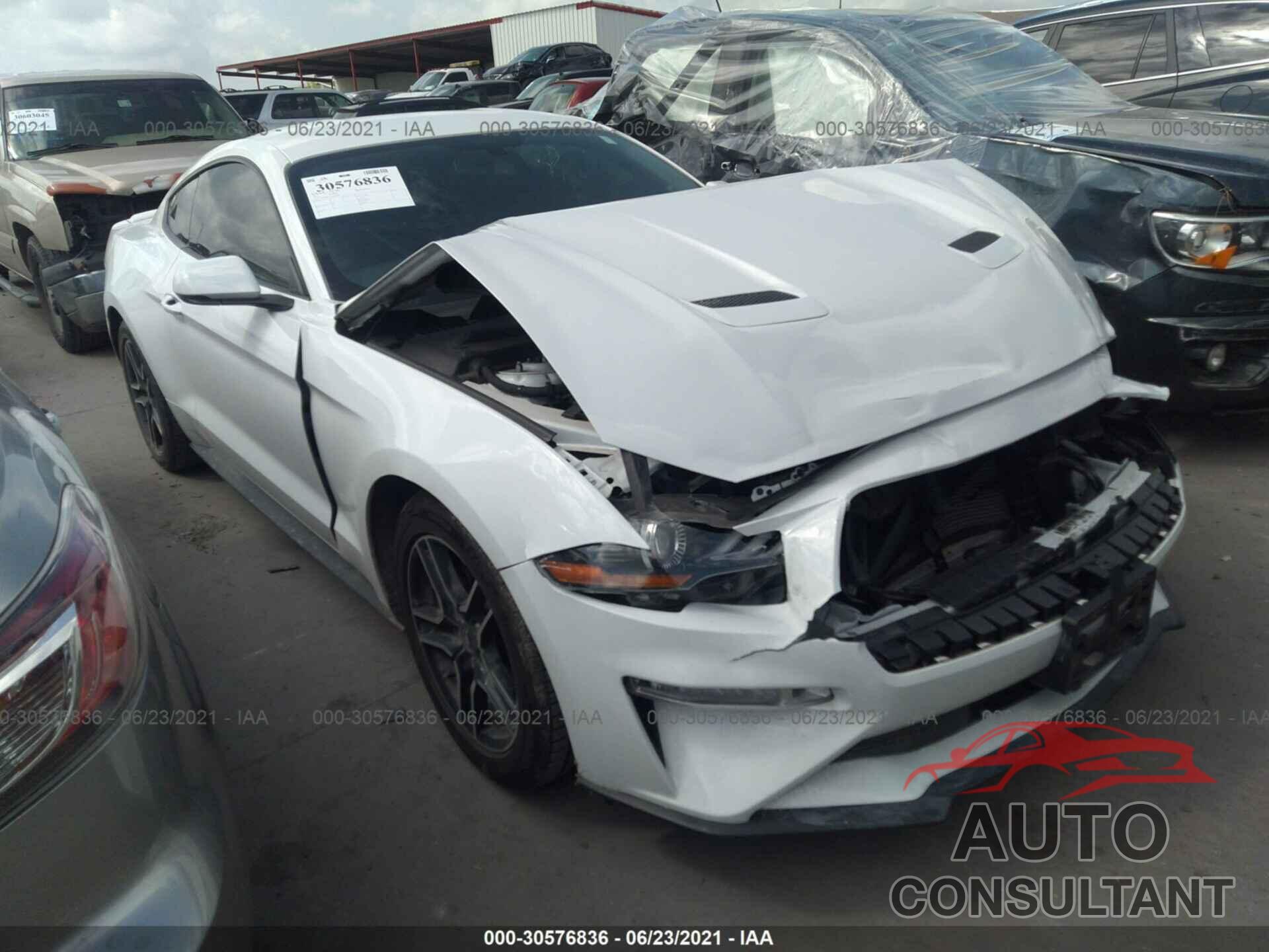FORD MUSTANG 2019 - 1FA6P8TH3K5181094