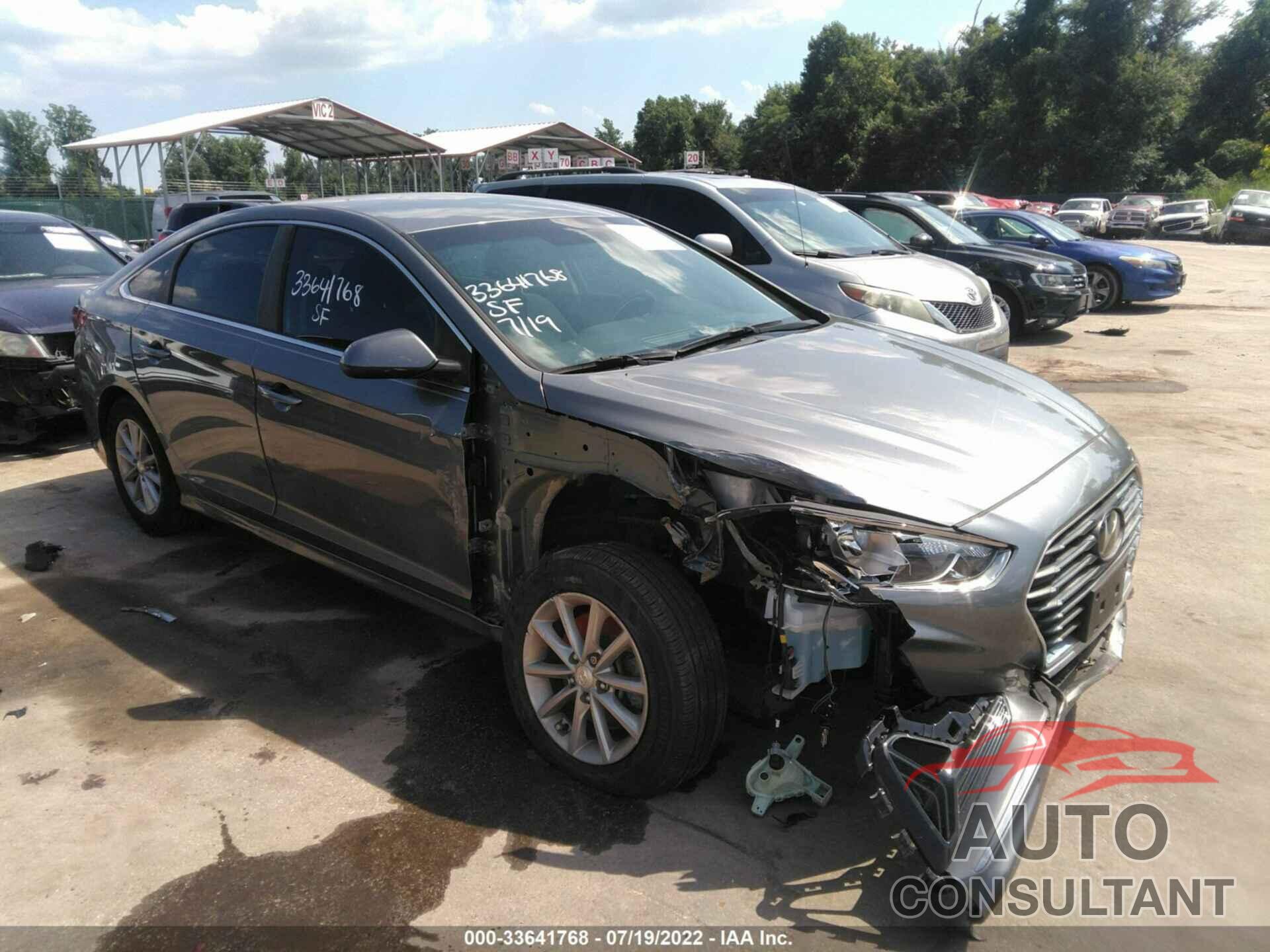 HYUNDAI SONATA 2019 - 5NPE24AF4KH760206