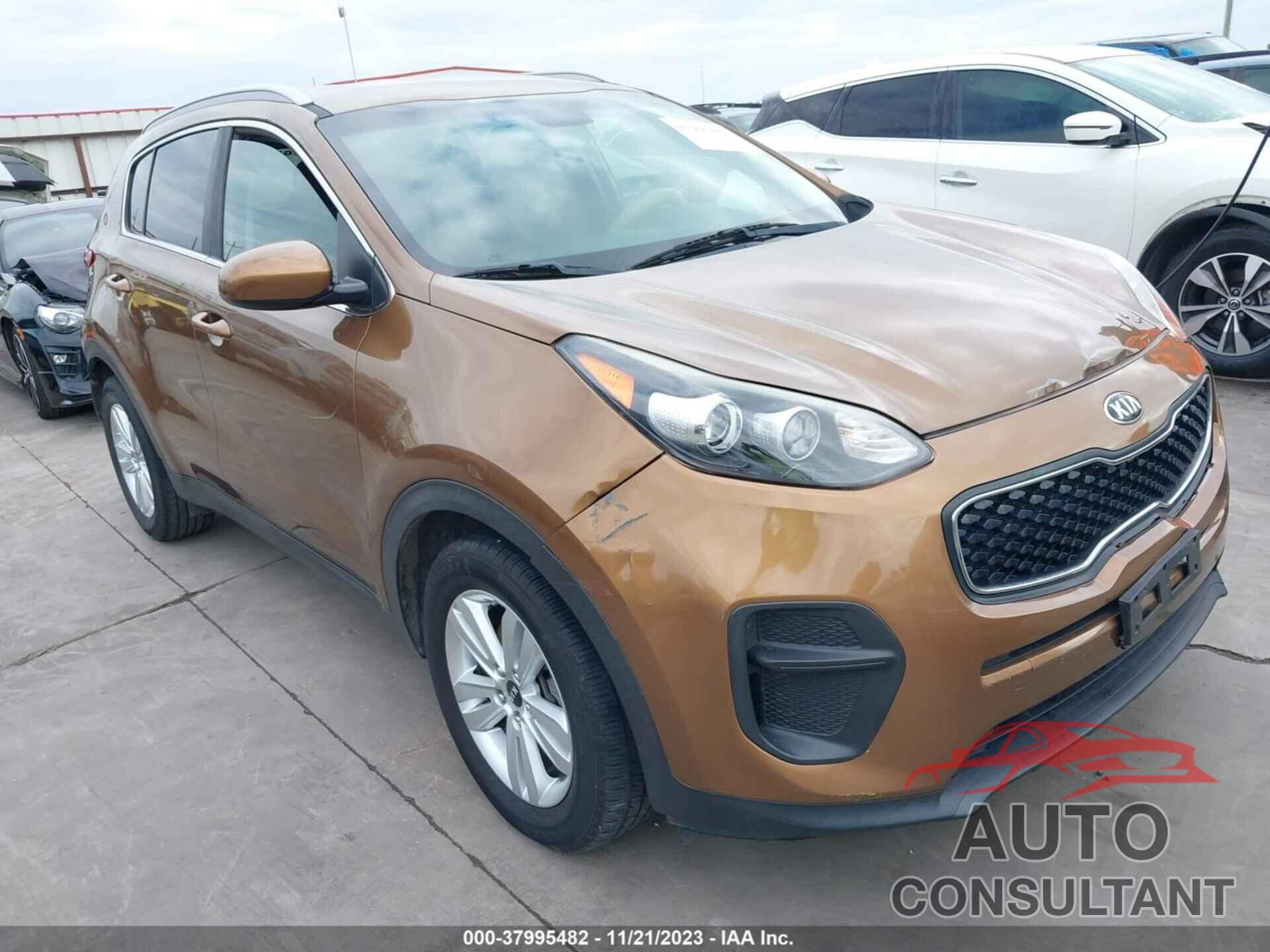 KIA SPORTAGE 2017 - KNDPM3AC3H7209541