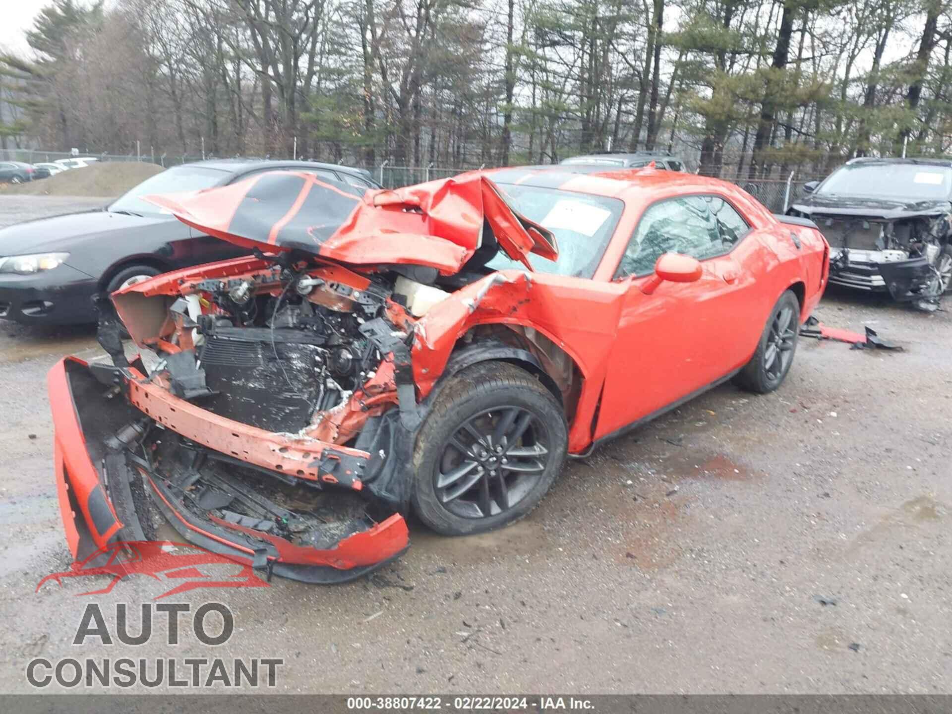 DODGE CHALLENGER 2019 - 2C3CDZGG6KH541663