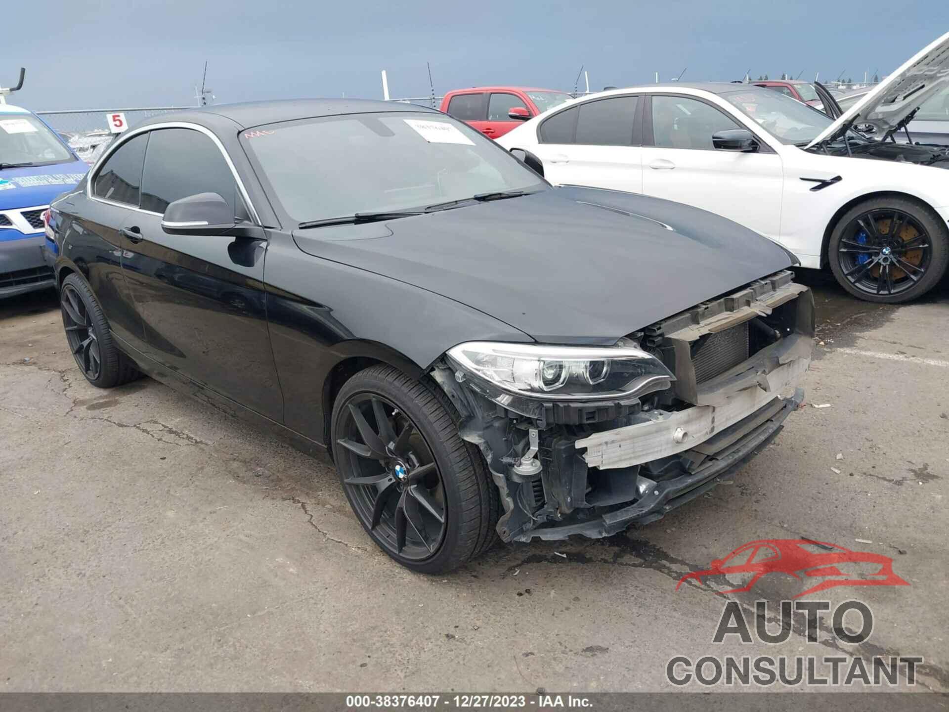 BMW 228I 2016 - WBA1F9C50GV544944