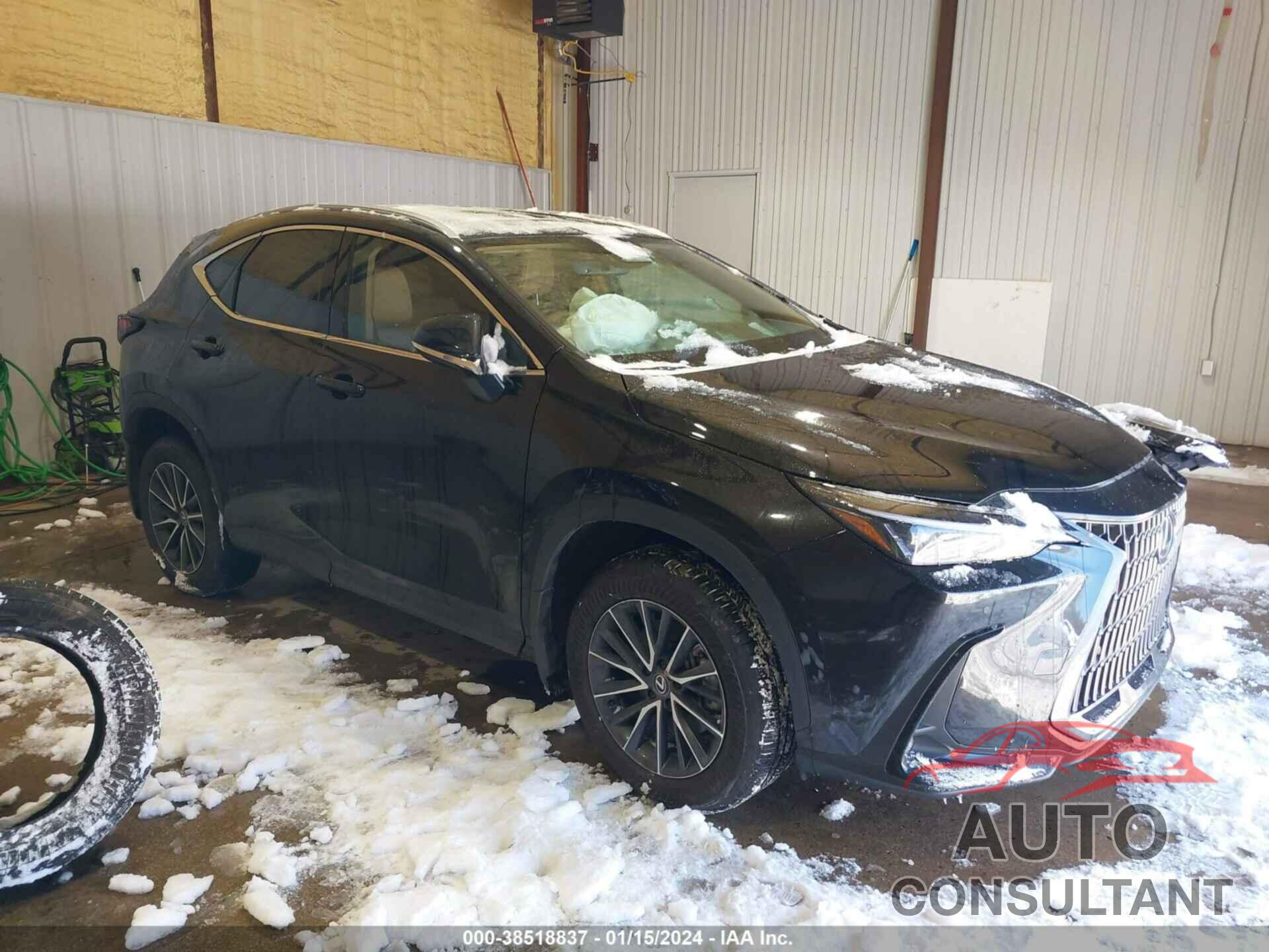 LEXUS NX 250 2024 - 2T2GDCAZ0RC006039