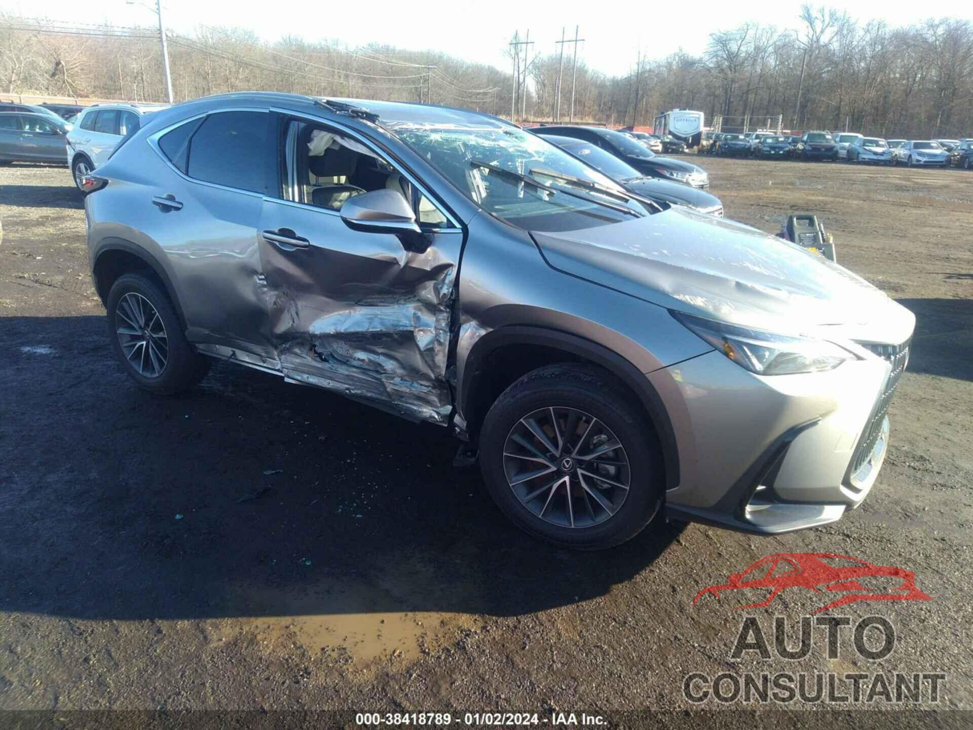 LEXUS NX 250 2022 - 2T2ADCEZ3NC001685