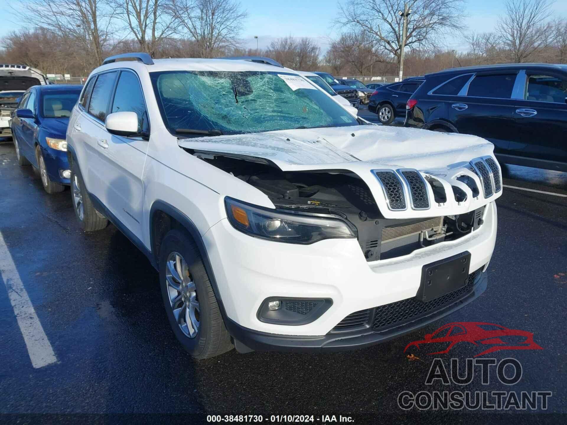 JEEP CHEROKEE 2019 - 1C4PJMLB9KD182096