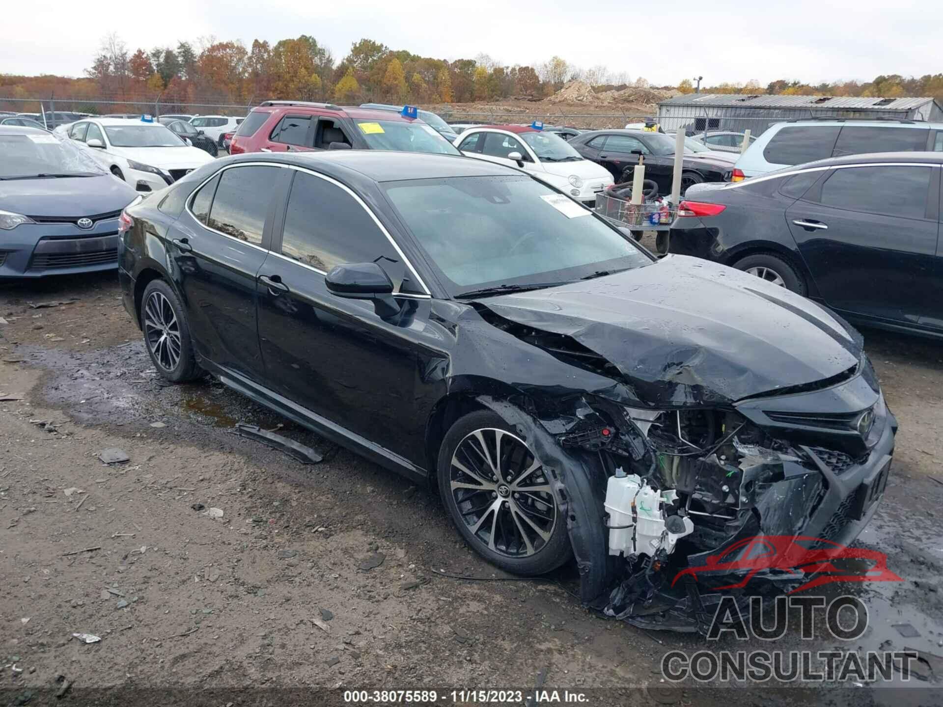 TOYOTA CAMRY 2019 - 4T1B11HK0KU732895