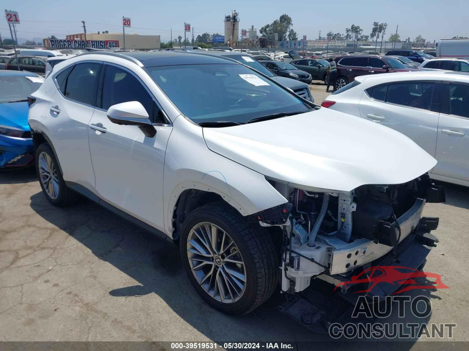 LEXUS NX 350H 2023 - JTJHKCEZXP2013484