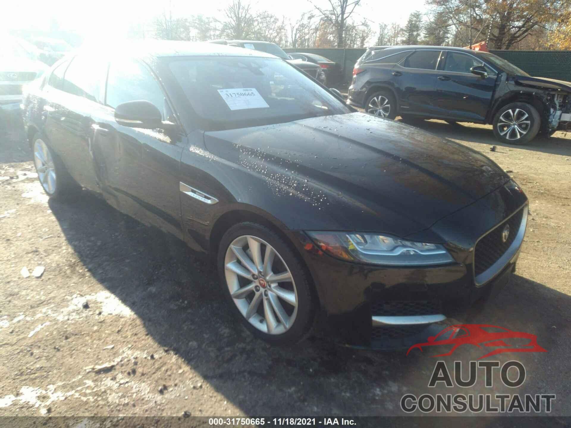 JAGUAR XF 2016 - SAJBL4BV9GCY18529