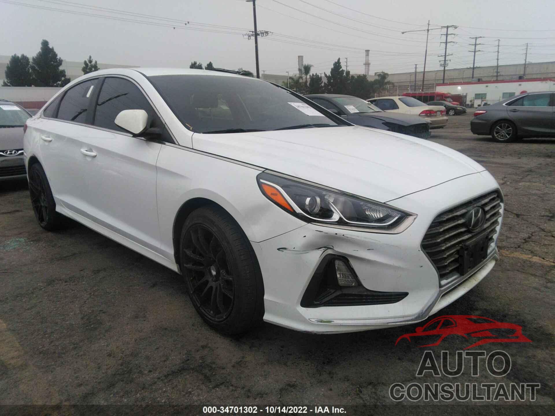 HYUNDAI SONATA 2019 - 5NPE24AF0KH759778