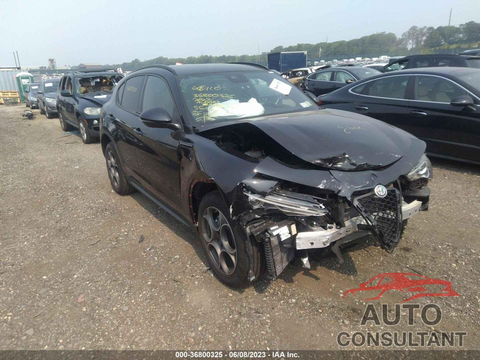 ALFA ROMEO STELVIO 2022 - ZASPAKANXN7D44765