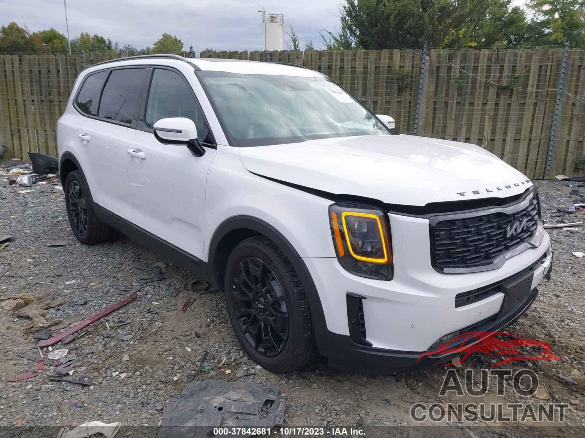 KIA TELLURIDE 2022 - 5XYP5DHCXNG217403