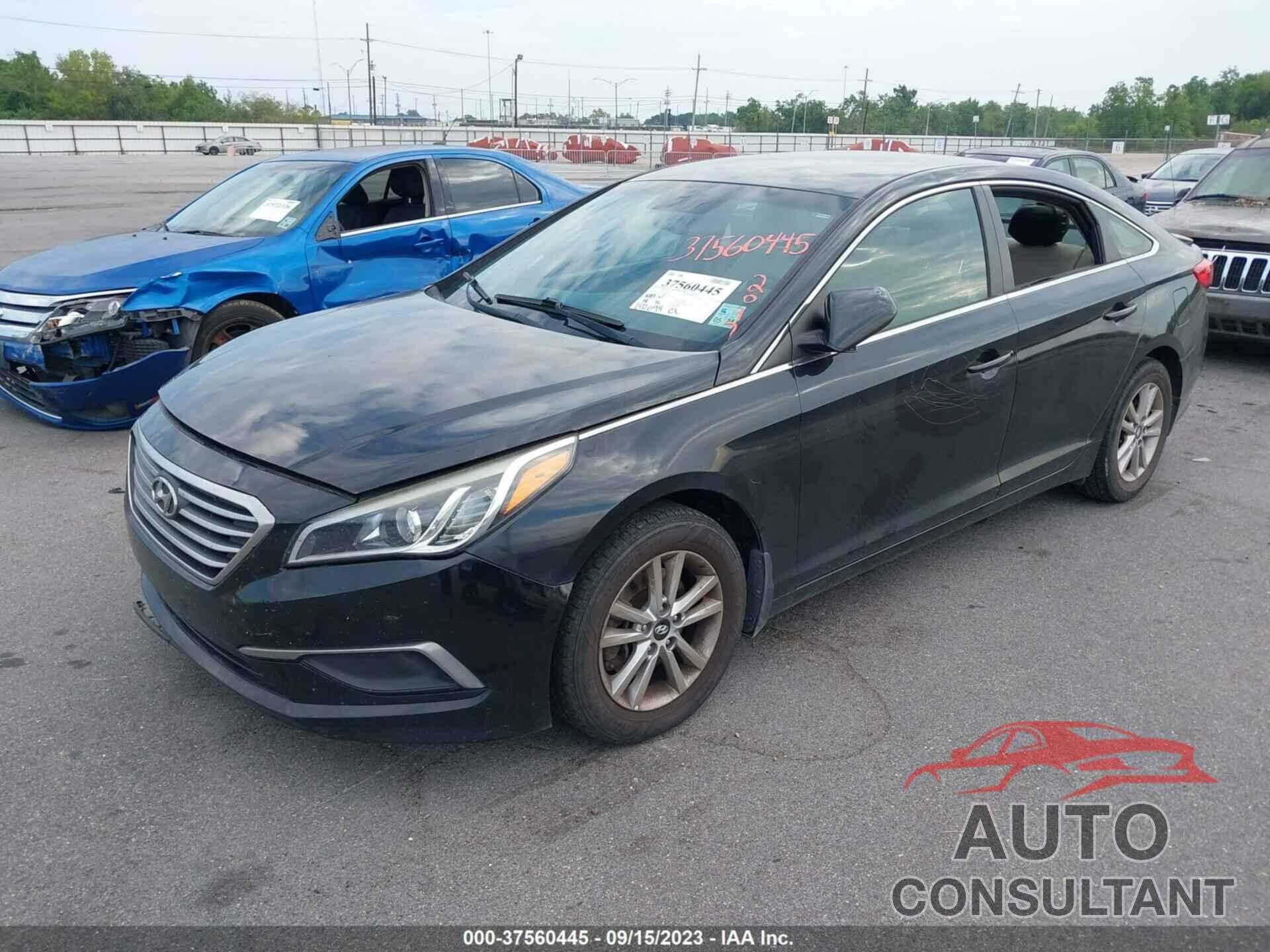 HYUNDAI SONATA 2017 - 5NPE24AF6HH499069