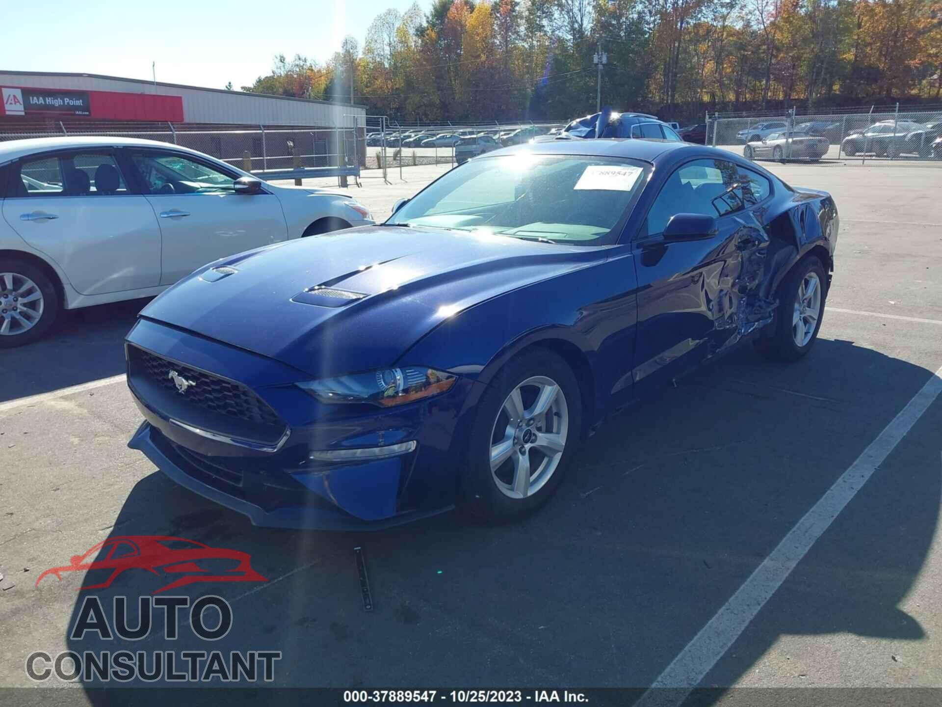 FORD MUSTANG 2019 - 1FA6P8TH1K5111531