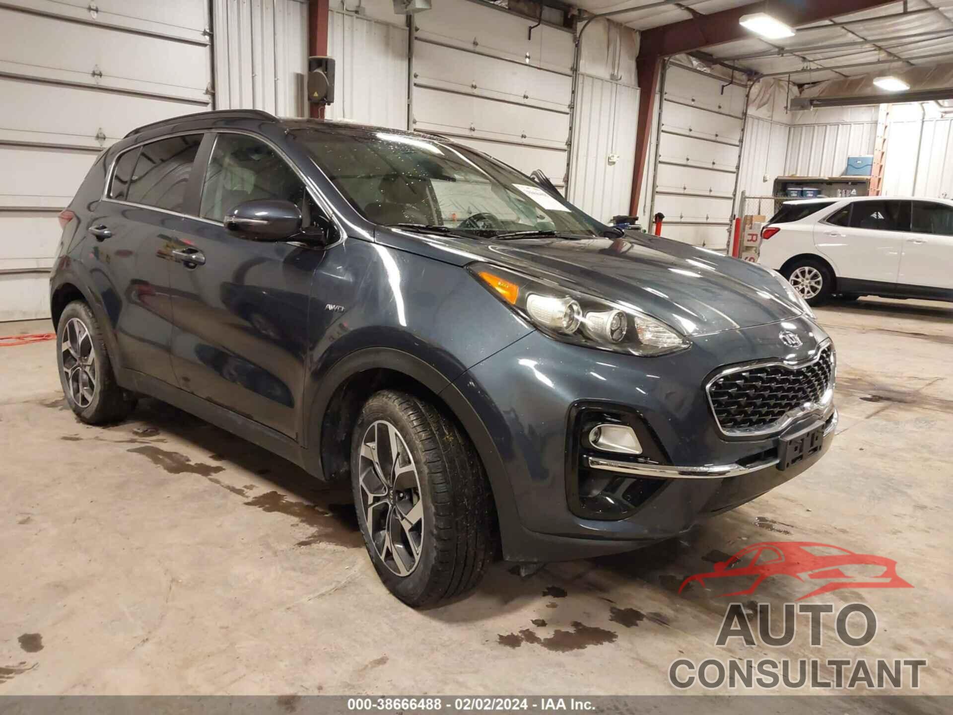 KIA SPORTAGE 2022 - KNDPNCAC3N7954931