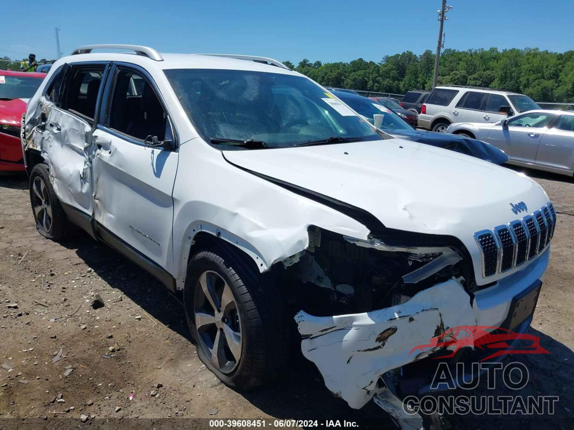 JEEP CHEROKEE 2019 - 1C4PJMDX9KD167205