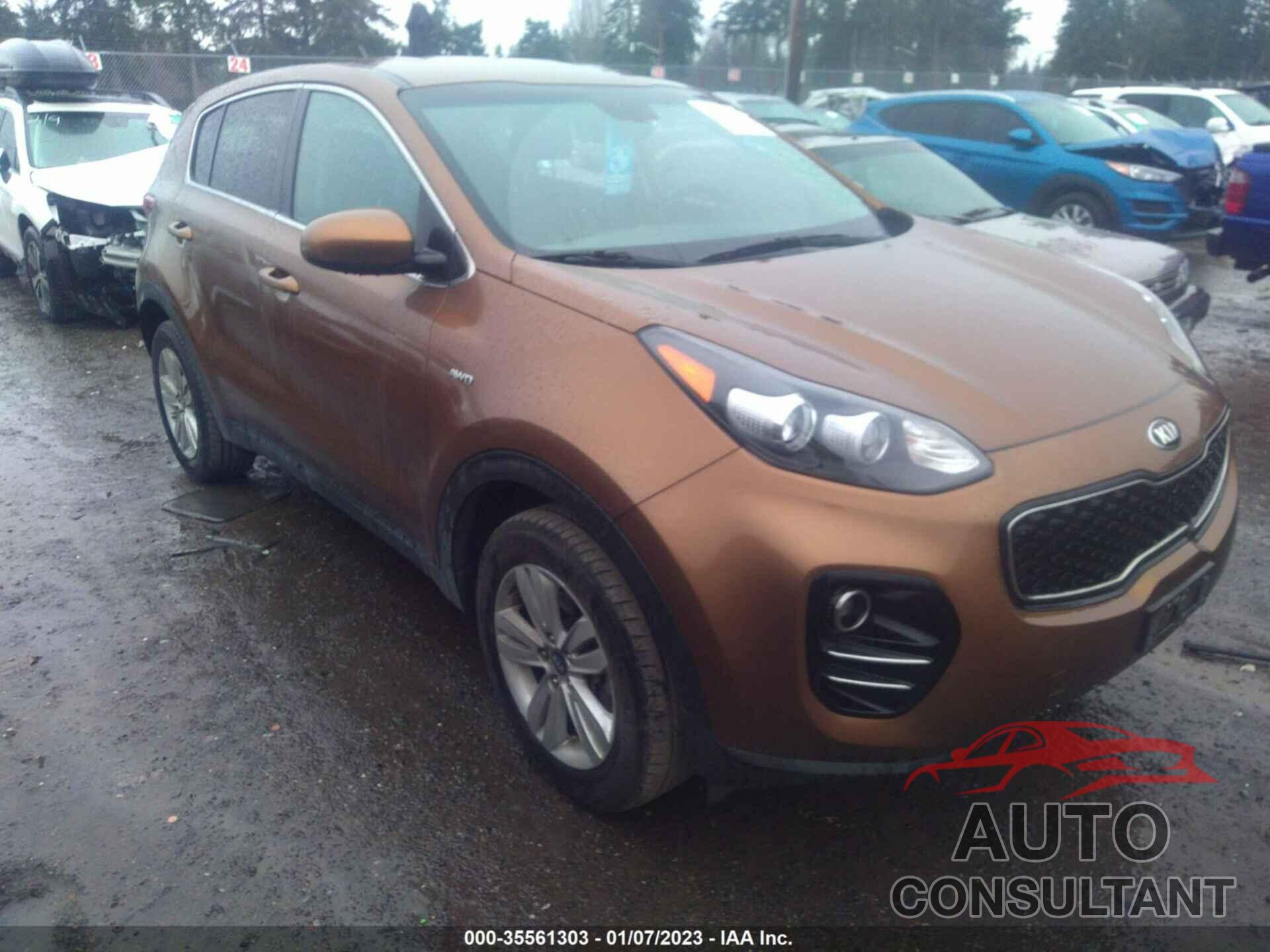 KIA SPORTAGE 2017 - KNDPMCAC6H7077102