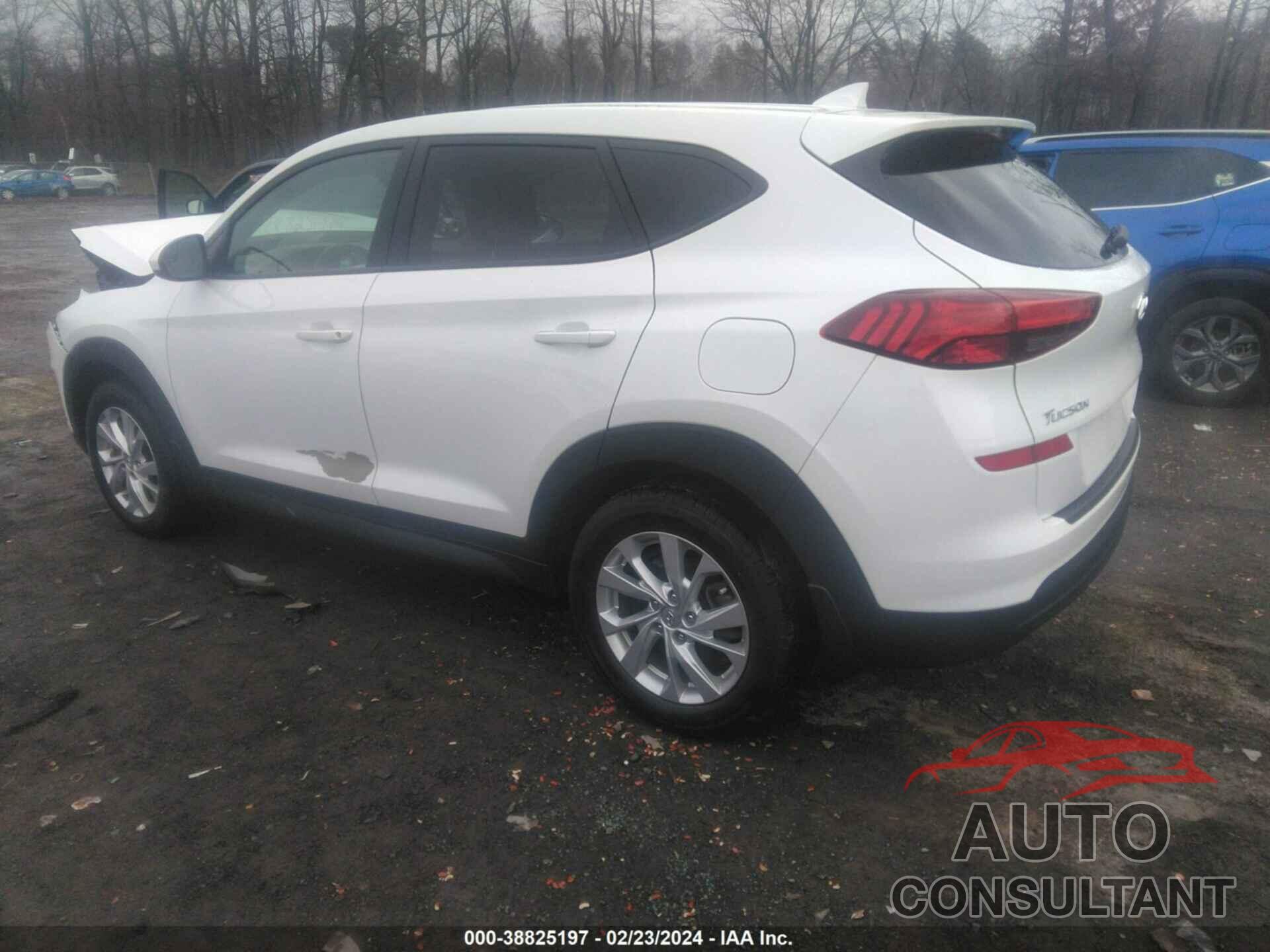 HYUNDAI TUCSON 2019 - KM8J2CA42KU064808