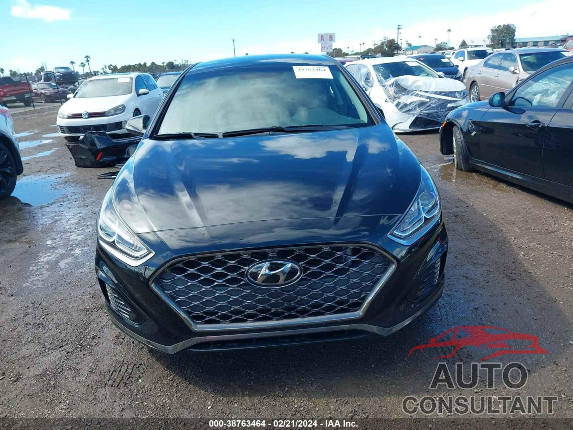 HYUNDAI SONATA 2019 - 5NPE34AF1KH733932