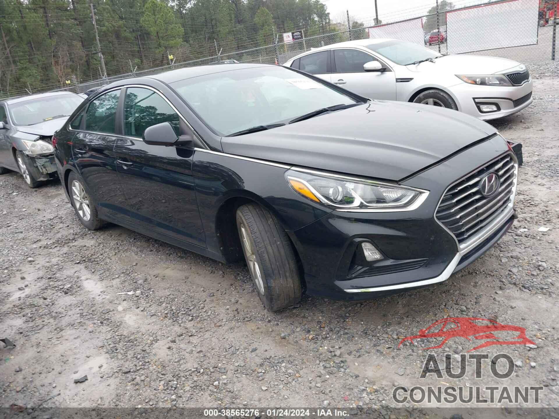 HYUNDAI SONATA 2019 - 5NPE24AF2KH780390