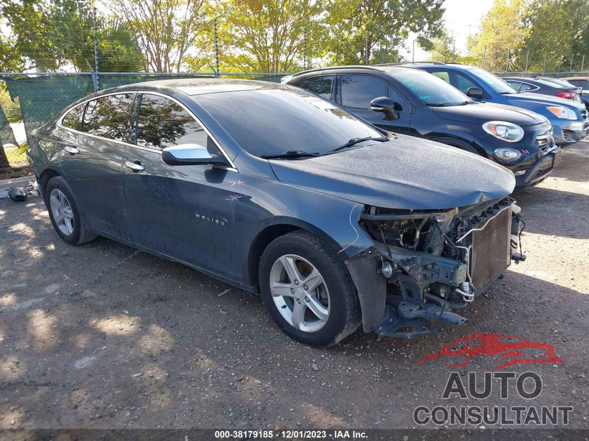 CHEVROLET MALIBU 2019 - 1G1ZB5ST9KF126114