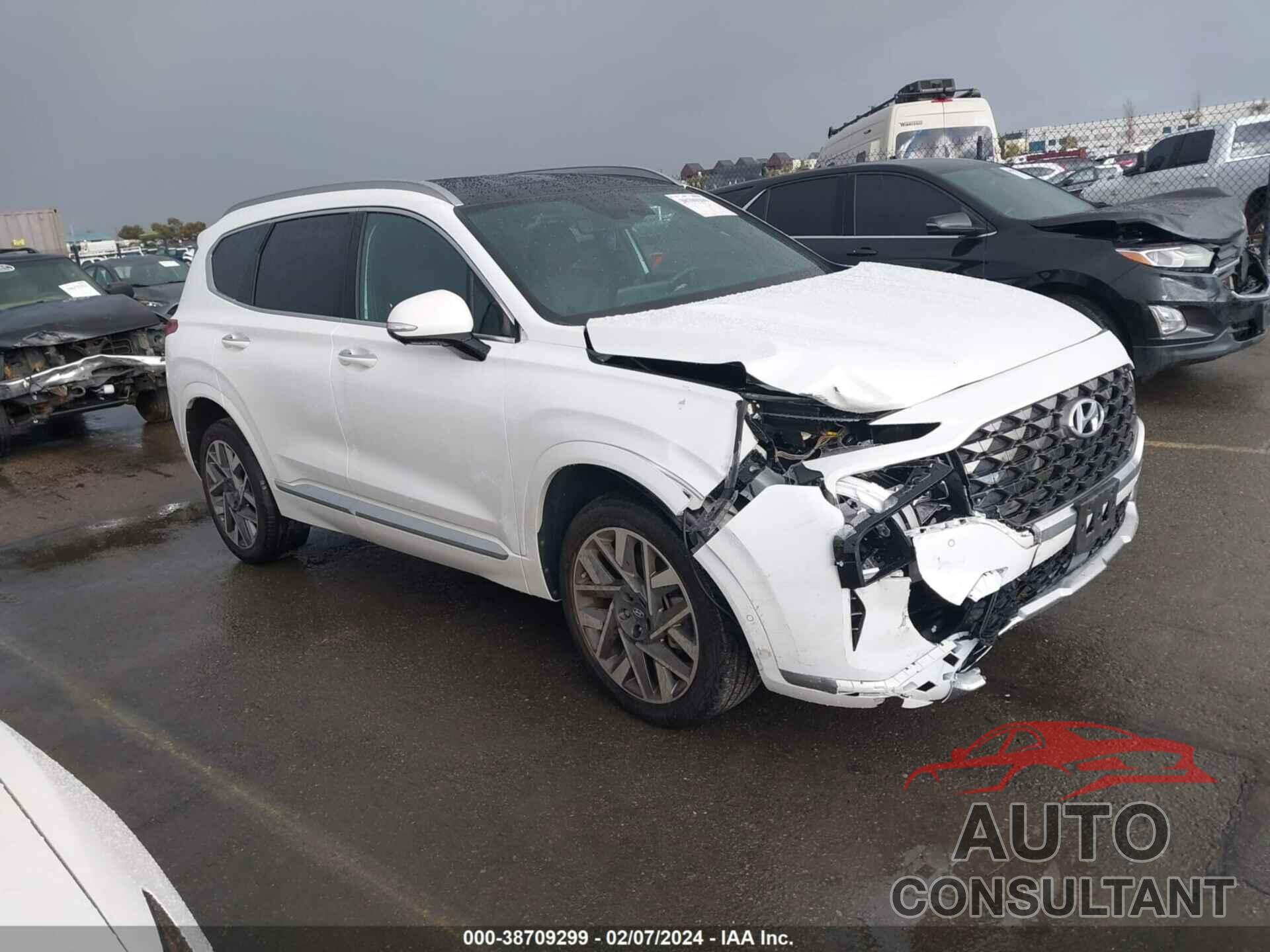 HYUNDAI SANTA FE 2023 - 5NMS5DAL0PH498110