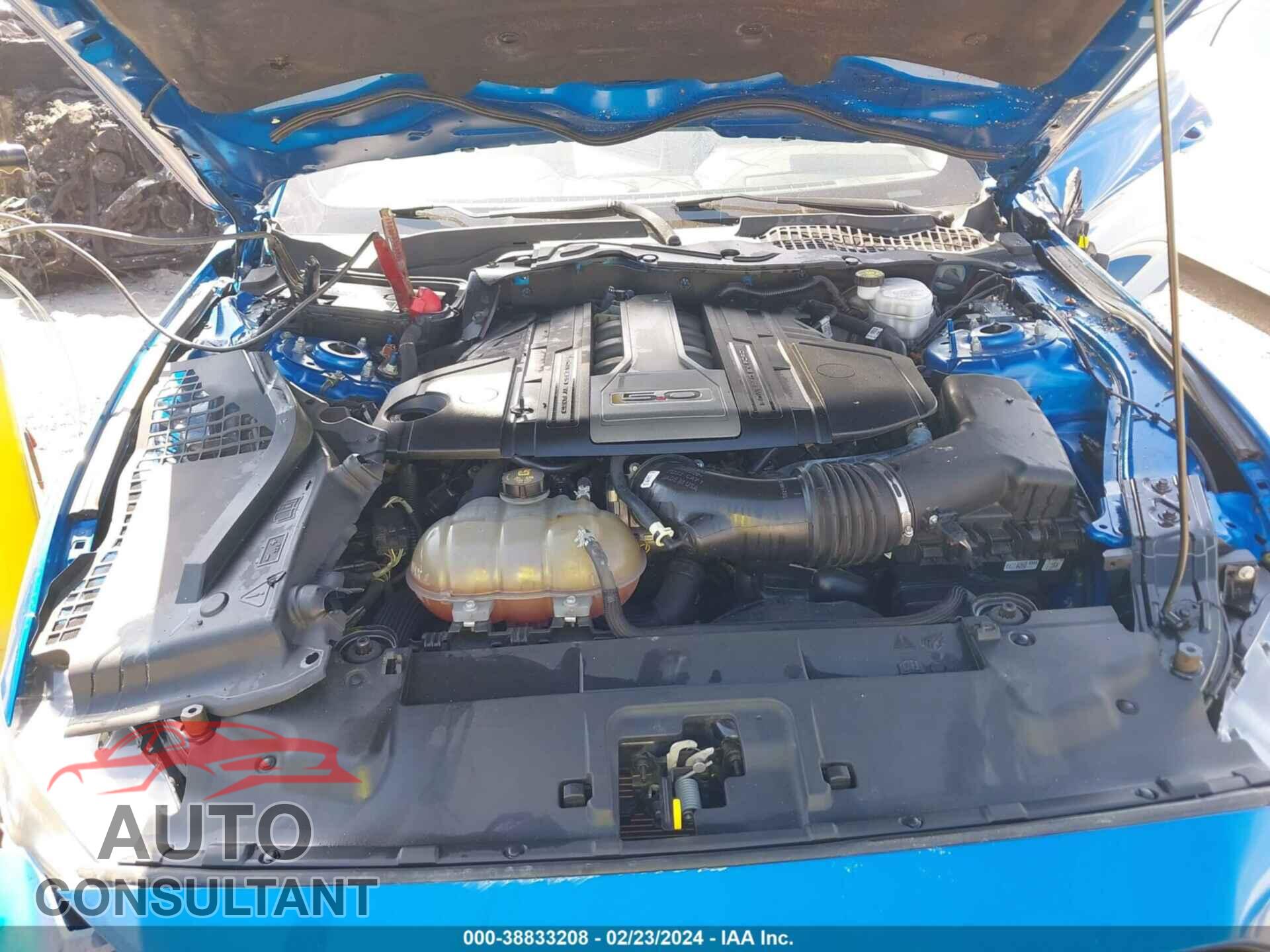 FORD MUSTANG 2019 - 1FA6P8CF2K5111682