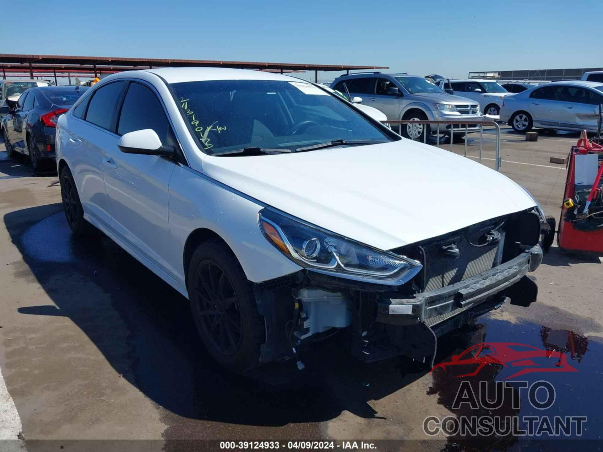 HYUNDAI SONATA 2019 - 5NPE24AF5KH778858