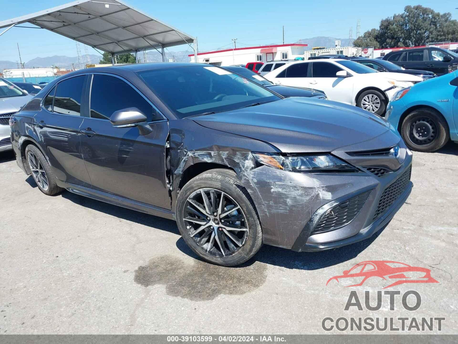 TOYOTA CAMRY HYBRID 2024 - 4T1G31AK5RU073068