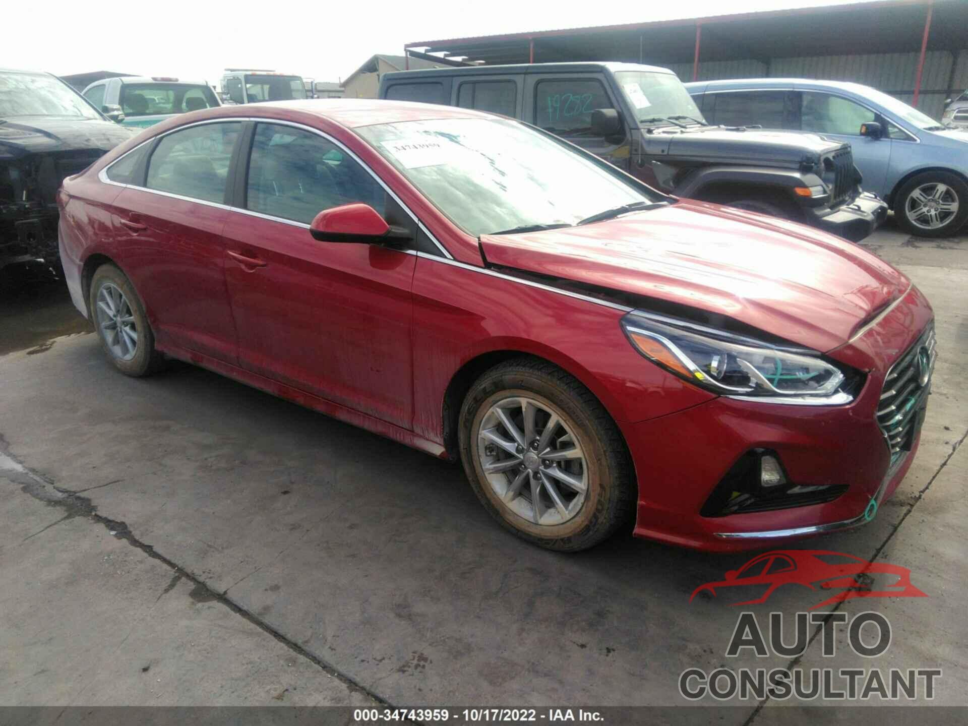 HYUNDAI SONATA 2019 - 5NPE24AF2KH784259
