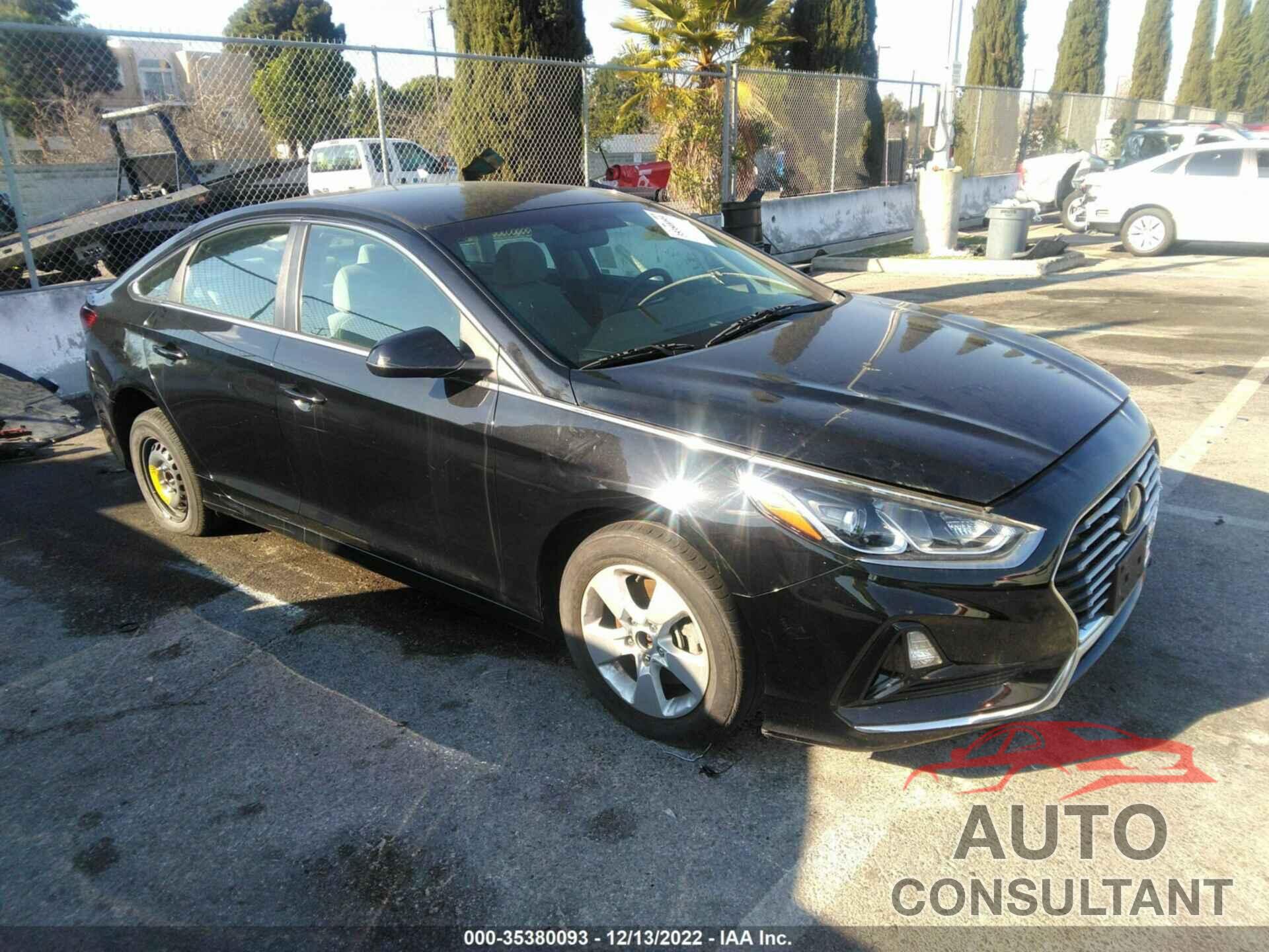 HYUNDAI SONATA 2019 - 5NPE24AF0KH741829
