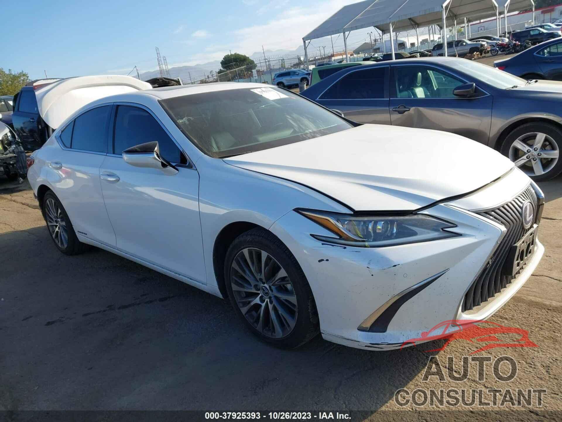 LEXUS ES 2019 - 58AB21B16KU002057