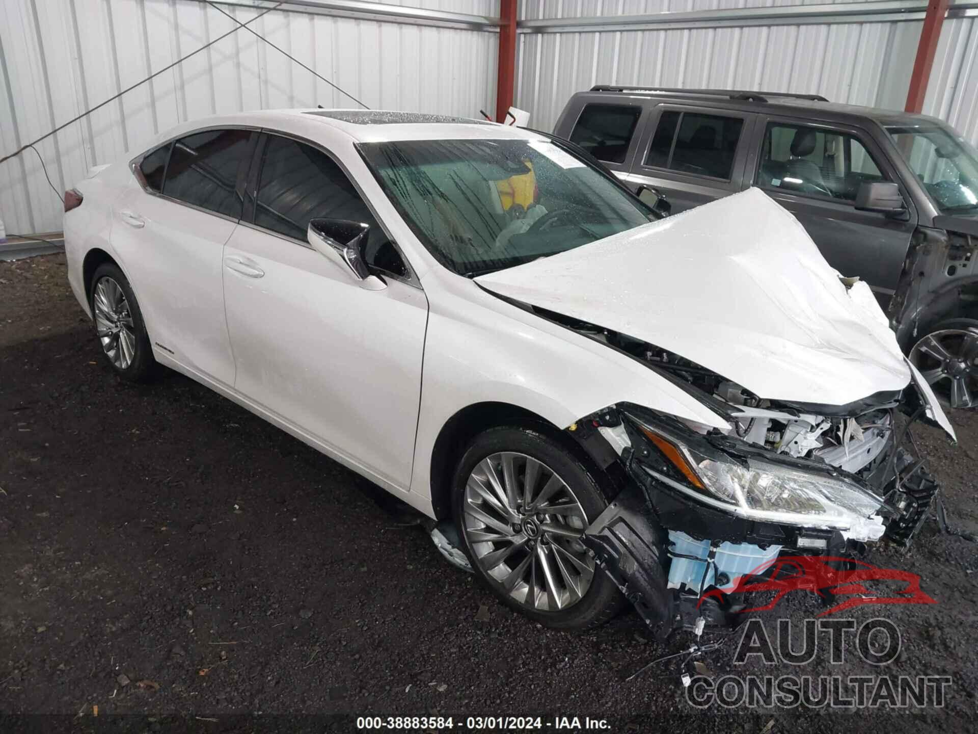 LEXUS ES 300H 2021 - 58AEA1C19MU010011