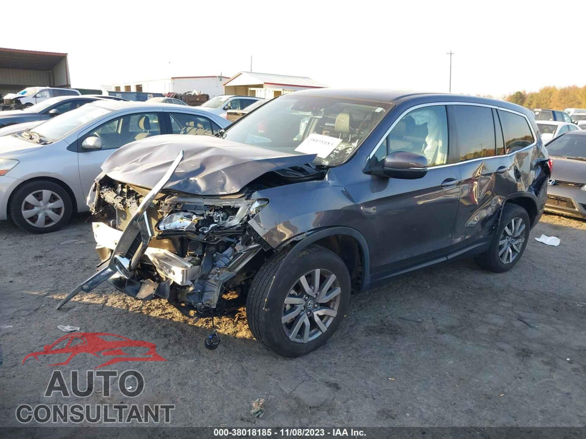 HONDA PILOT 2019 - 5FNYF5H44KB011867