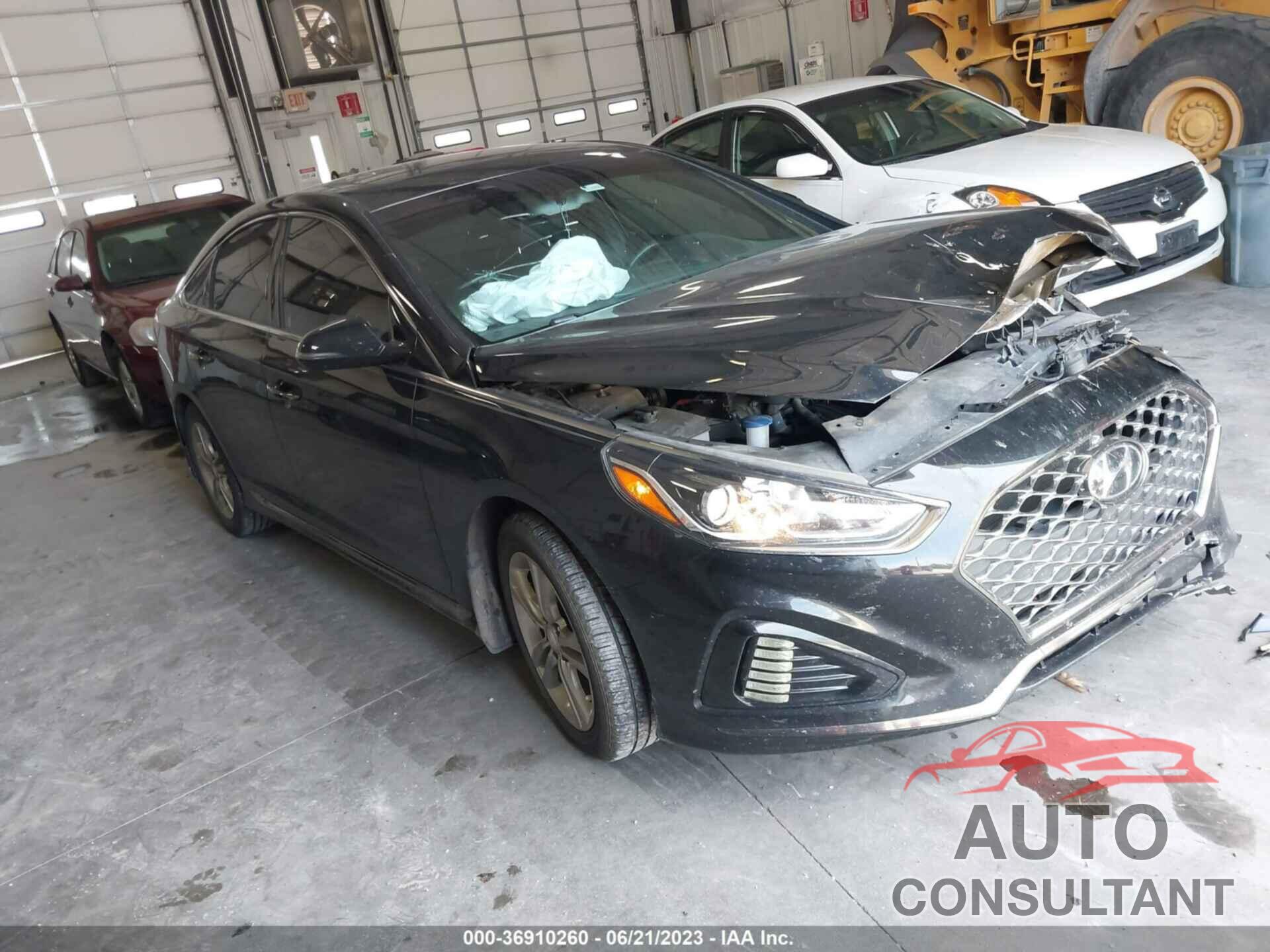 HYUNDAI SONATA 2019 - 5NPE34AF9KH822048