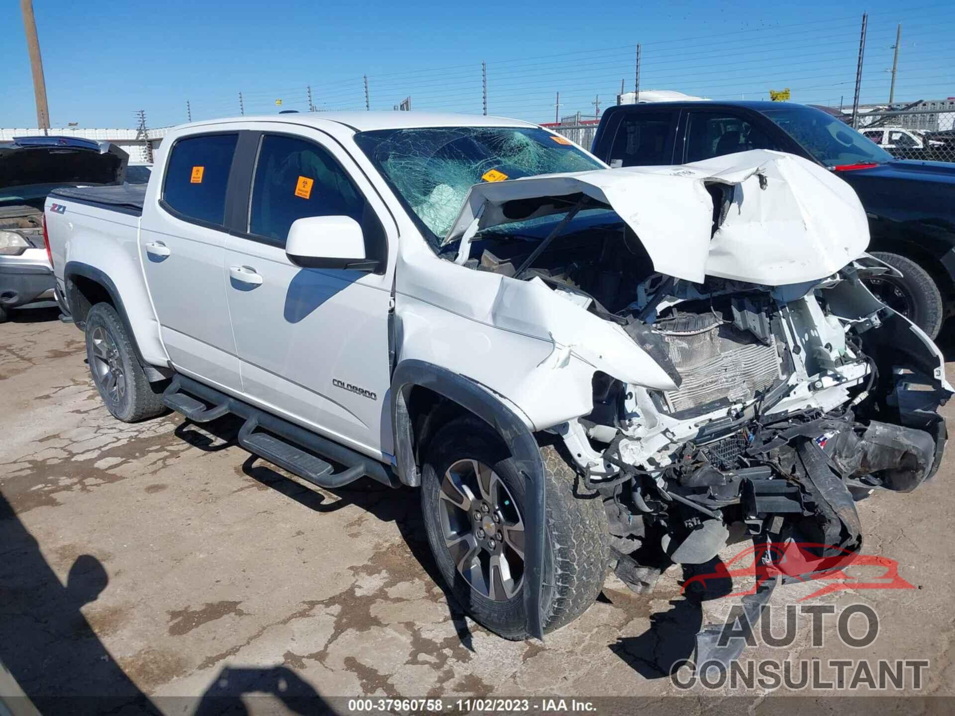 CHEVROLET COLORADO 2019 - 1GCGTDEN9K1235477