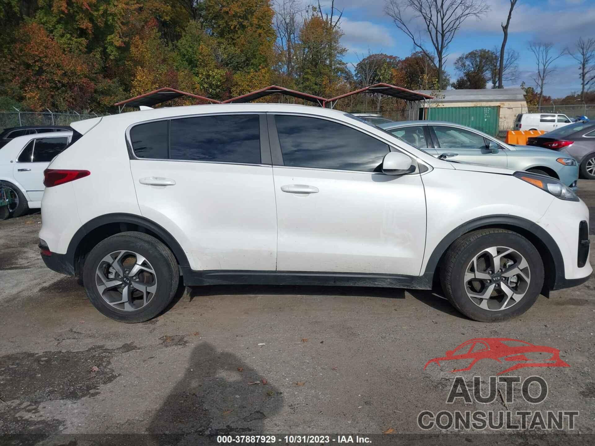 KIA SPORTAGE 2022 - KNDPM3AC6N7951654