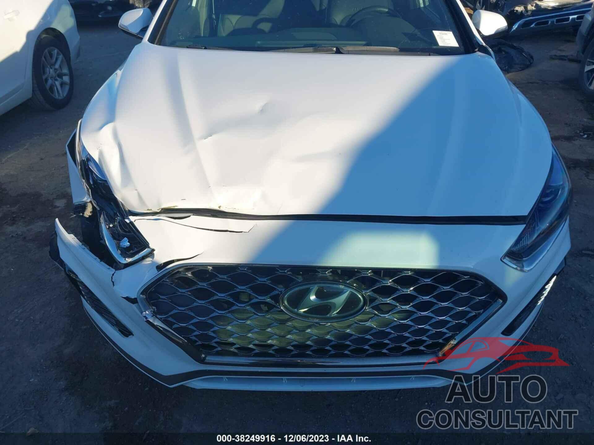 HYUNDAI SONATA 2019 - 5NPE34AB2KH772901