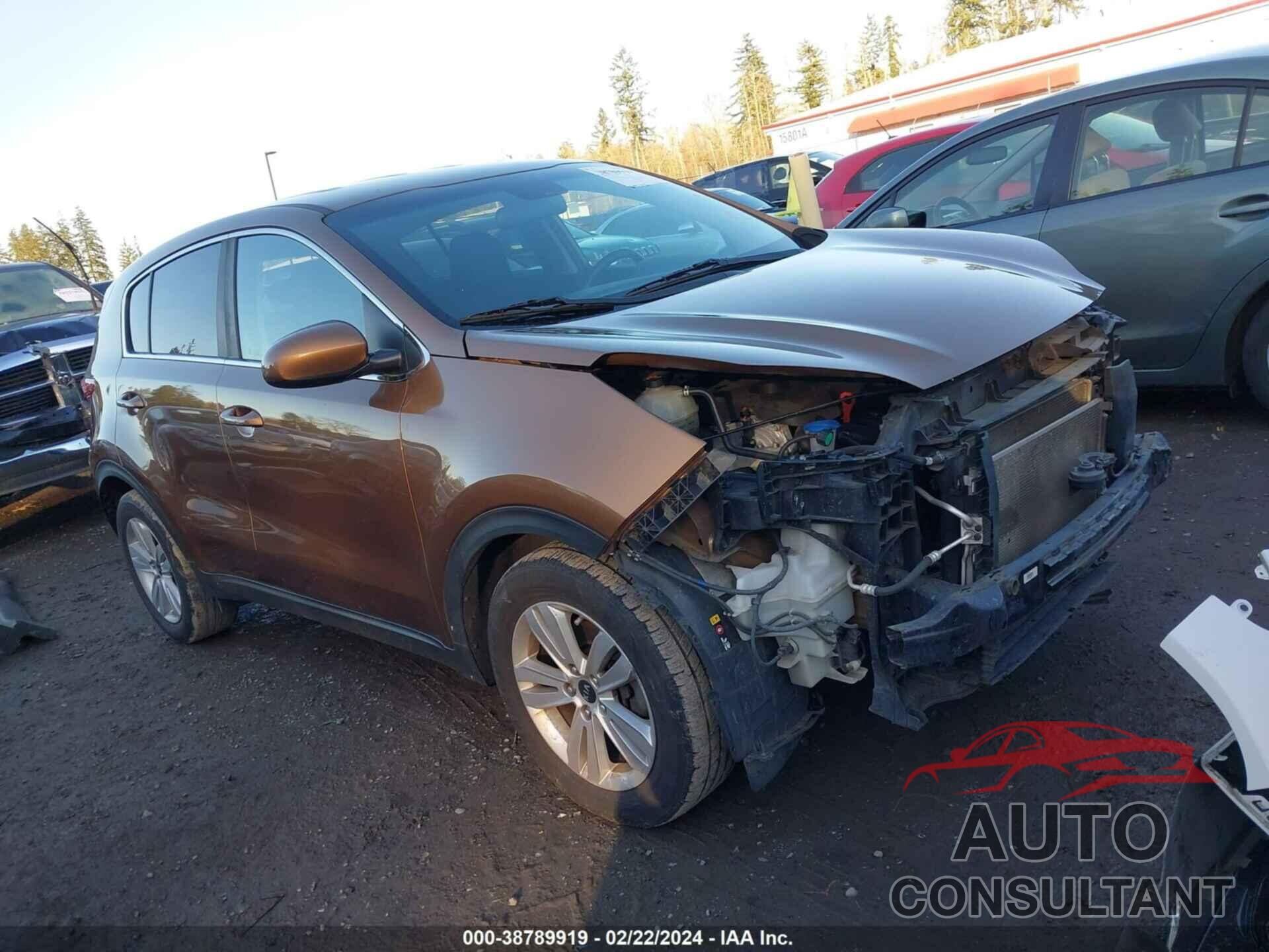 KIA SPORTAGE 2017 - KNDPM3ACXH7110232