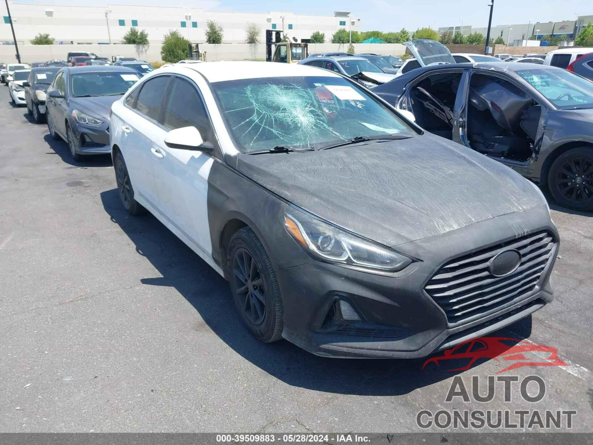 HYUNDAI SONATA 2019 - 5NPE24AF1KH754590