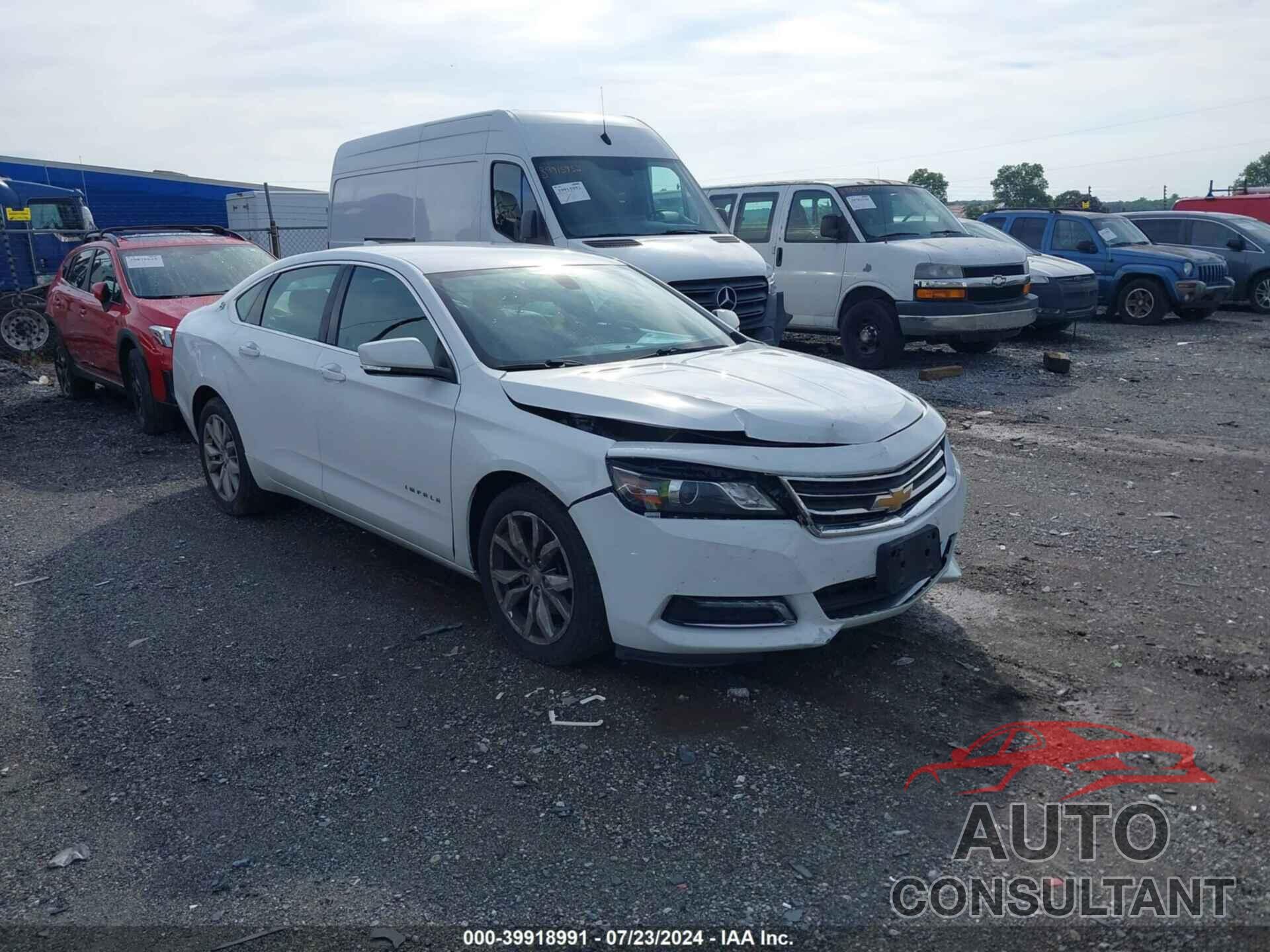 CHEVROLET IMPALA 2019 - 1G11Z5S39KU118521