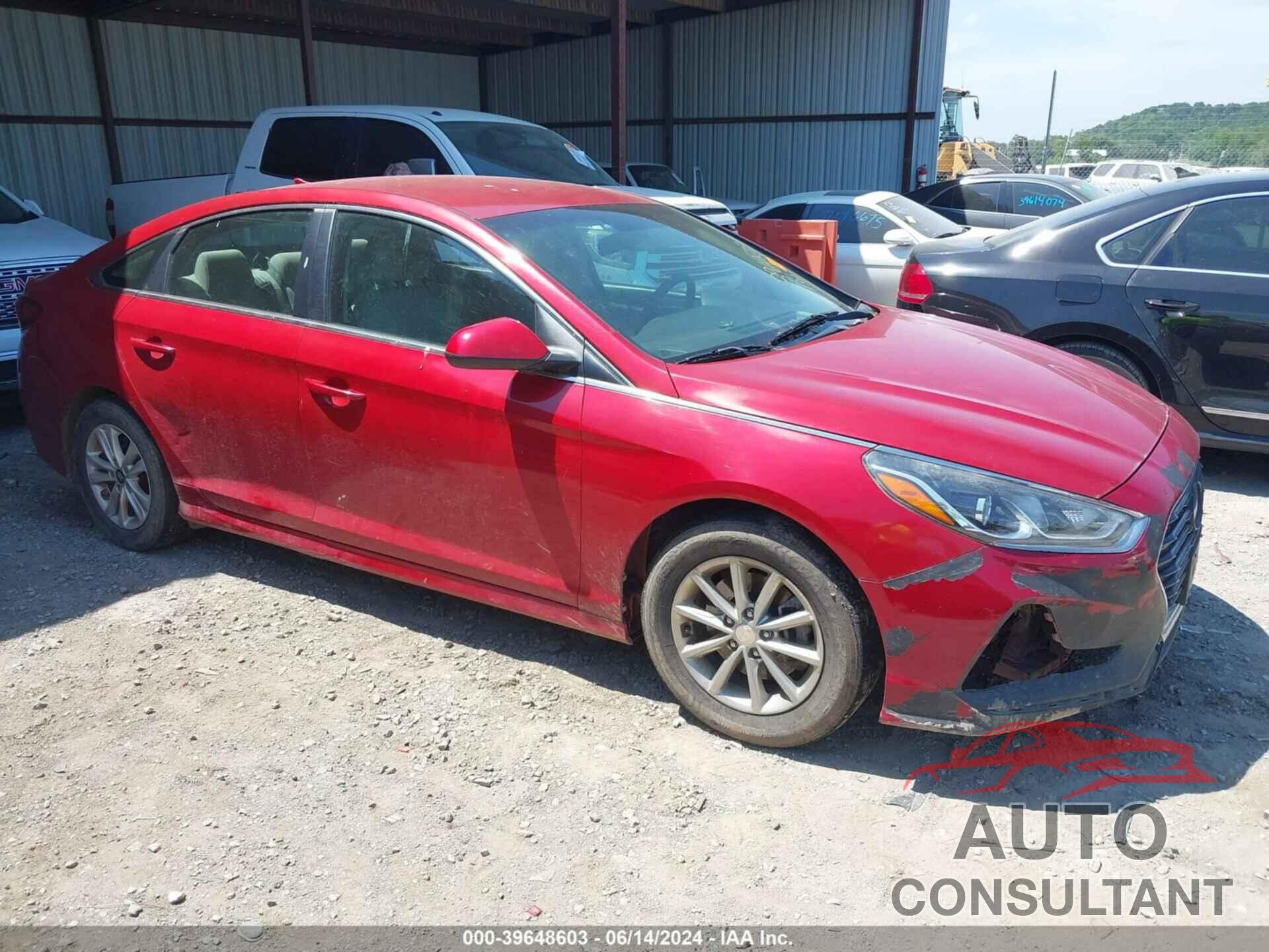 HYUNDAI SONATA 2019 - 5NPE24AF8KH737852