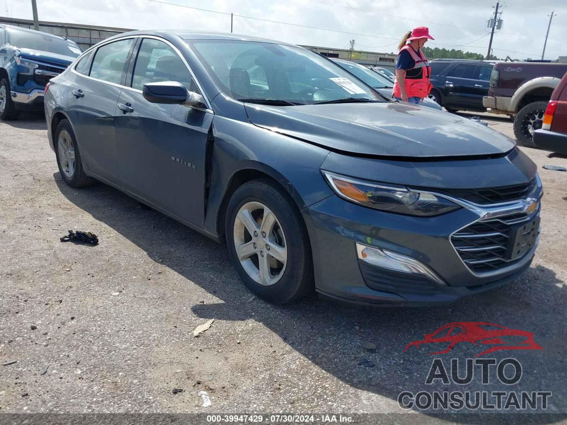 CHEVROLET MALIBU 2019 - 1G1ZB5ST3KF119661