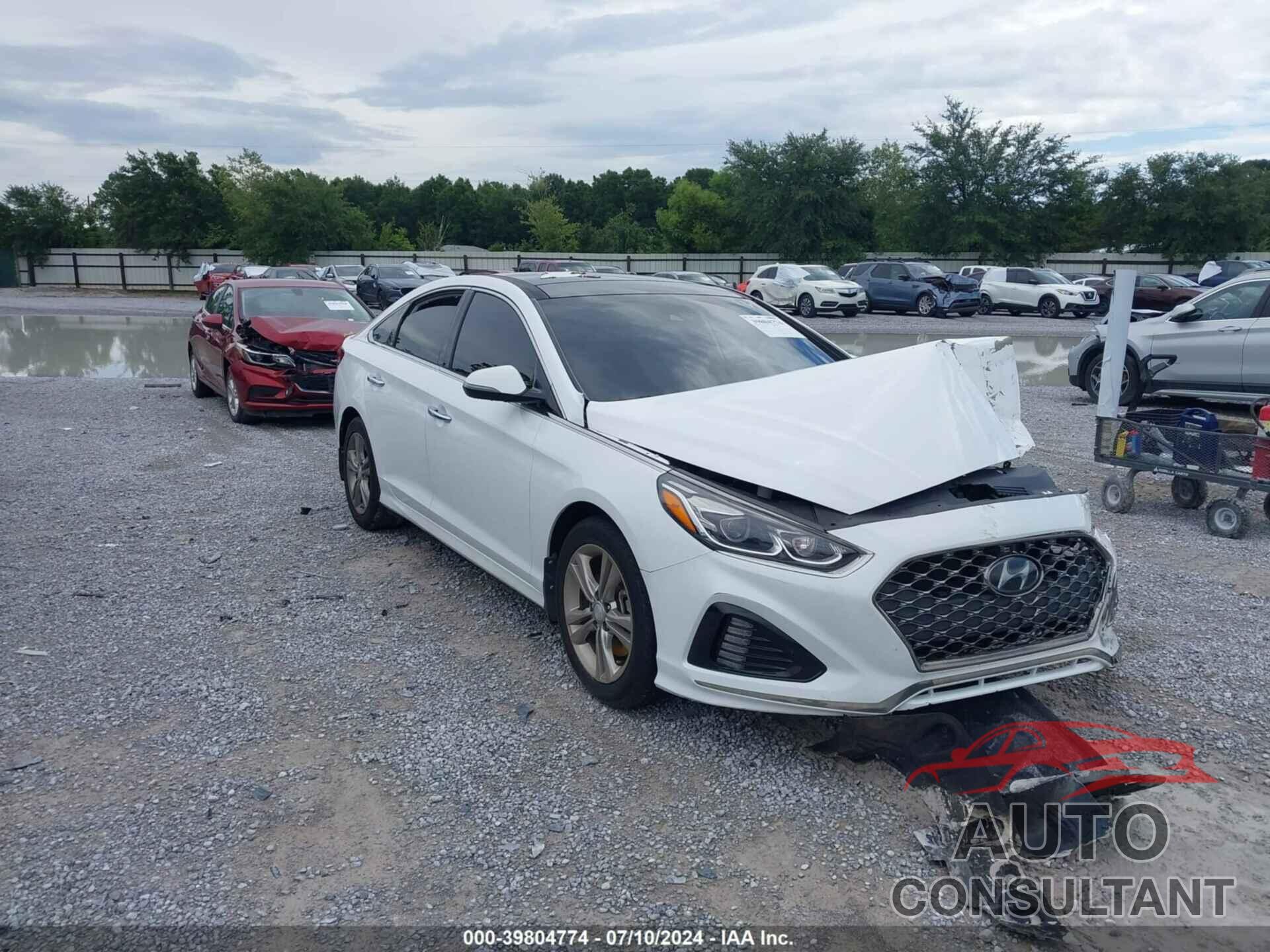 HYUNDAI SONATA 2019 - 5NPE34AF5KH799447