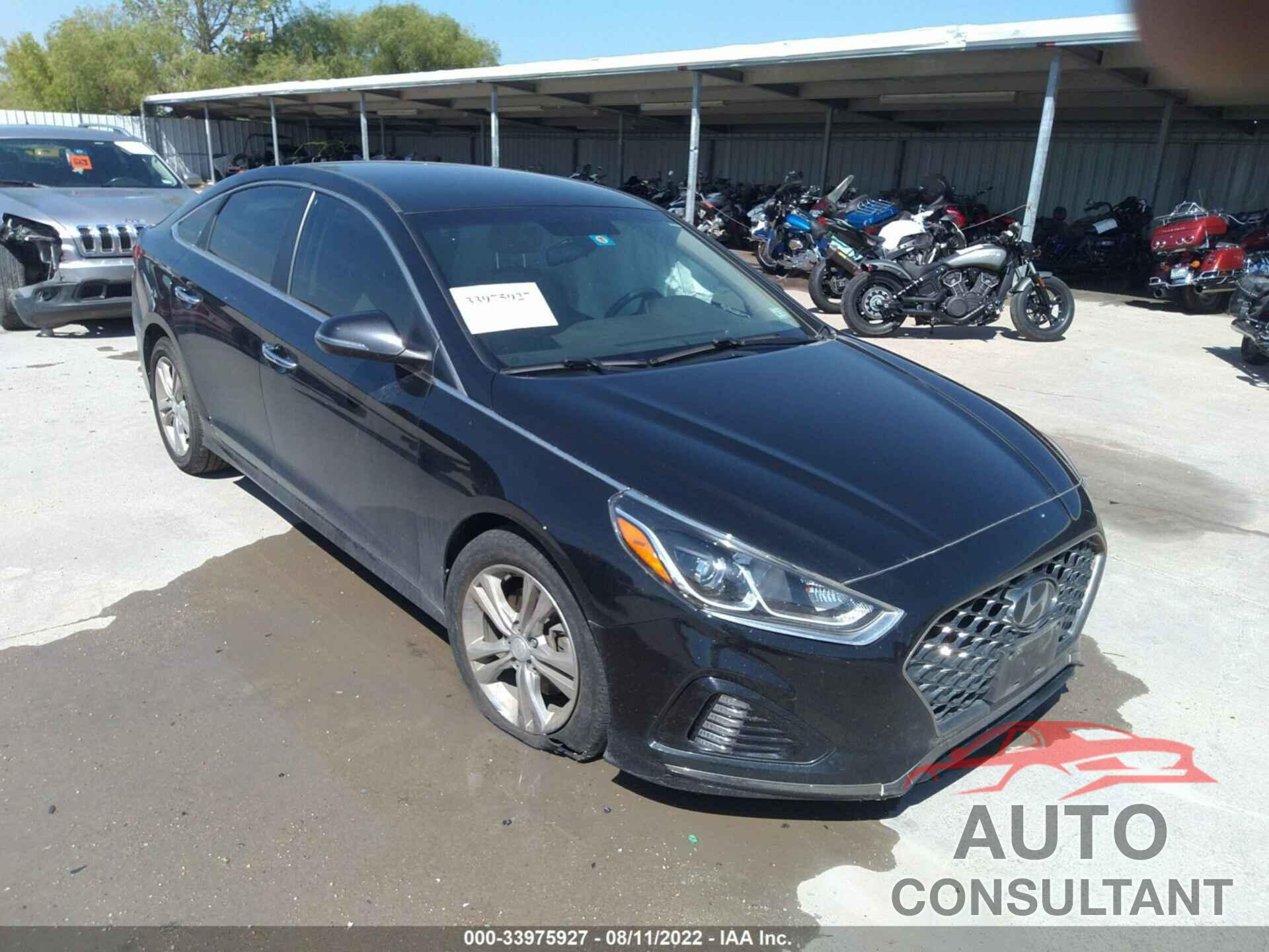 HYUNDAI SONATA 2019 - 5NPE34AF3KH745497