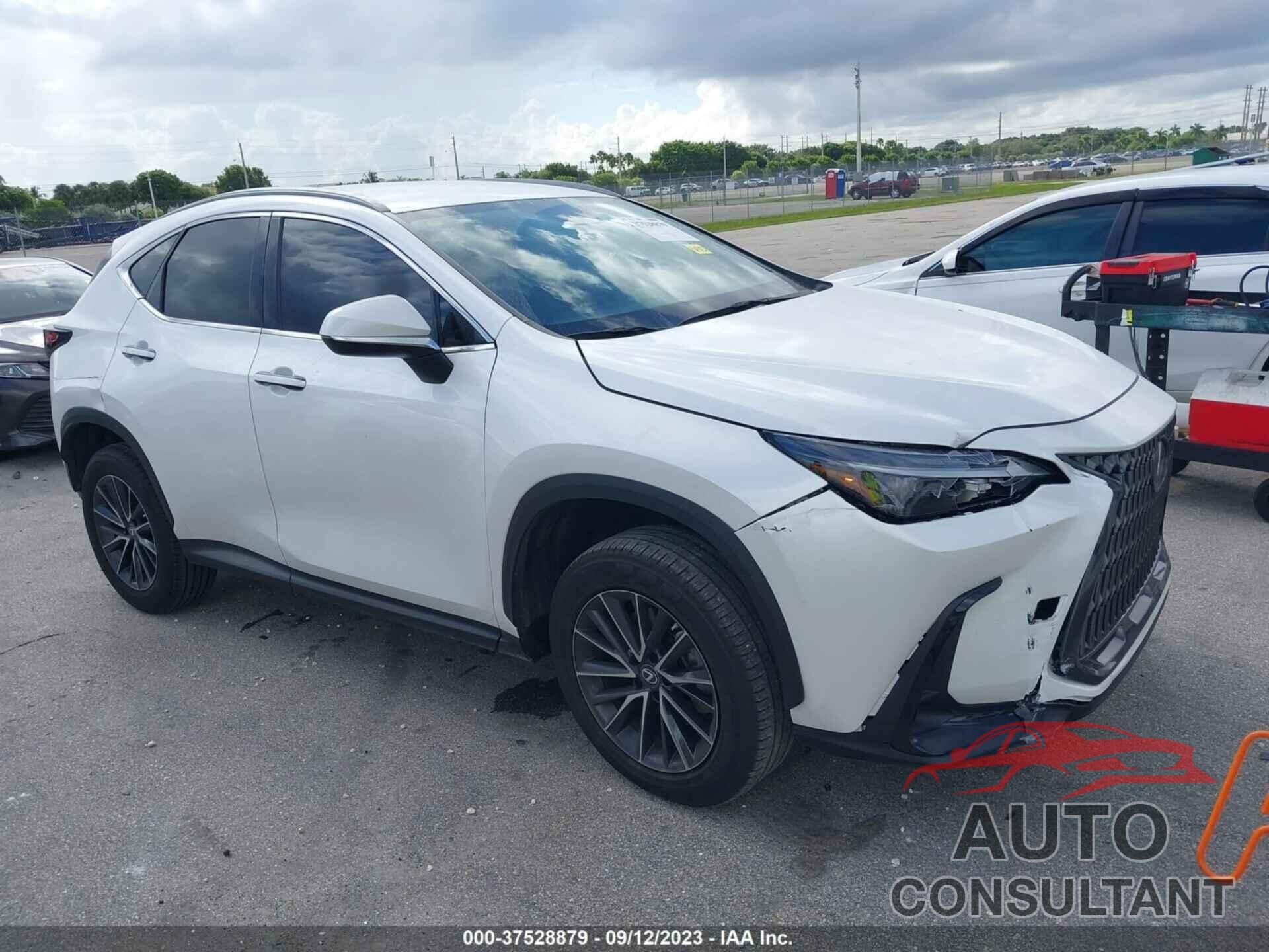 LEXUS NX 250 2022 - 2T2ADCAZ4NC001619